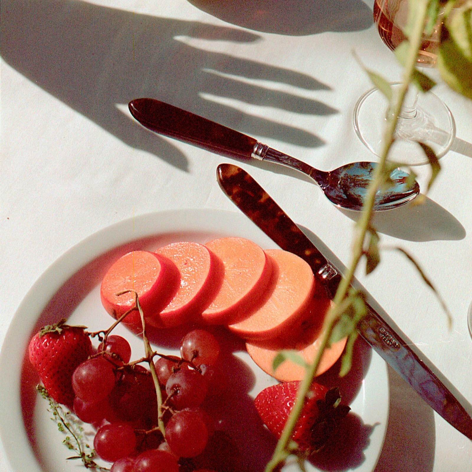 Sabre Bistro Faux Tortoise Cutlery (Set of 5)