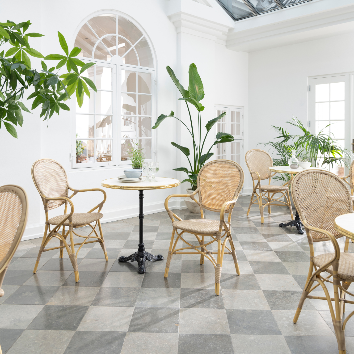 Florence Alu-Rattan Dining Arm Chair w/ Cushion