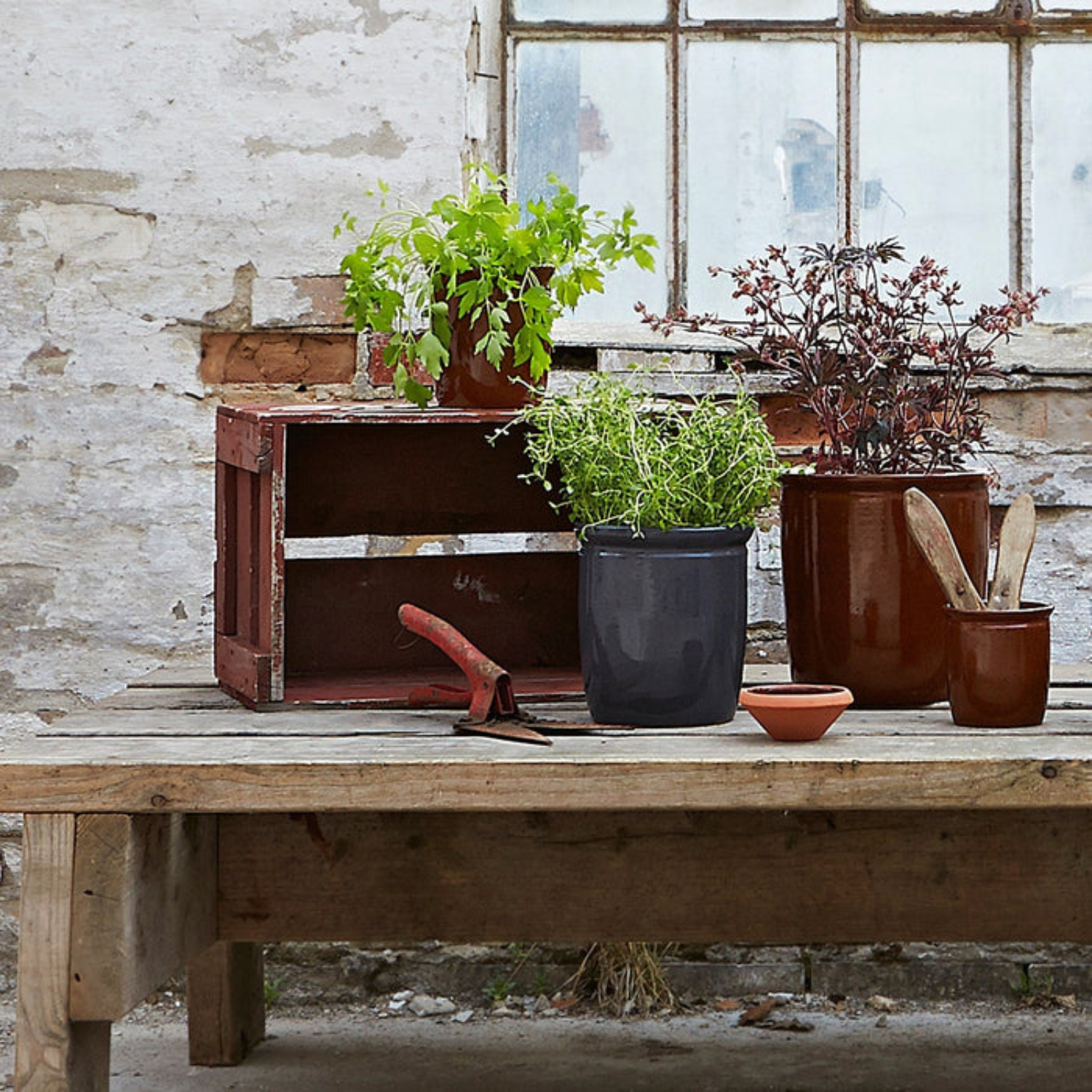 Brown Preserving Pots