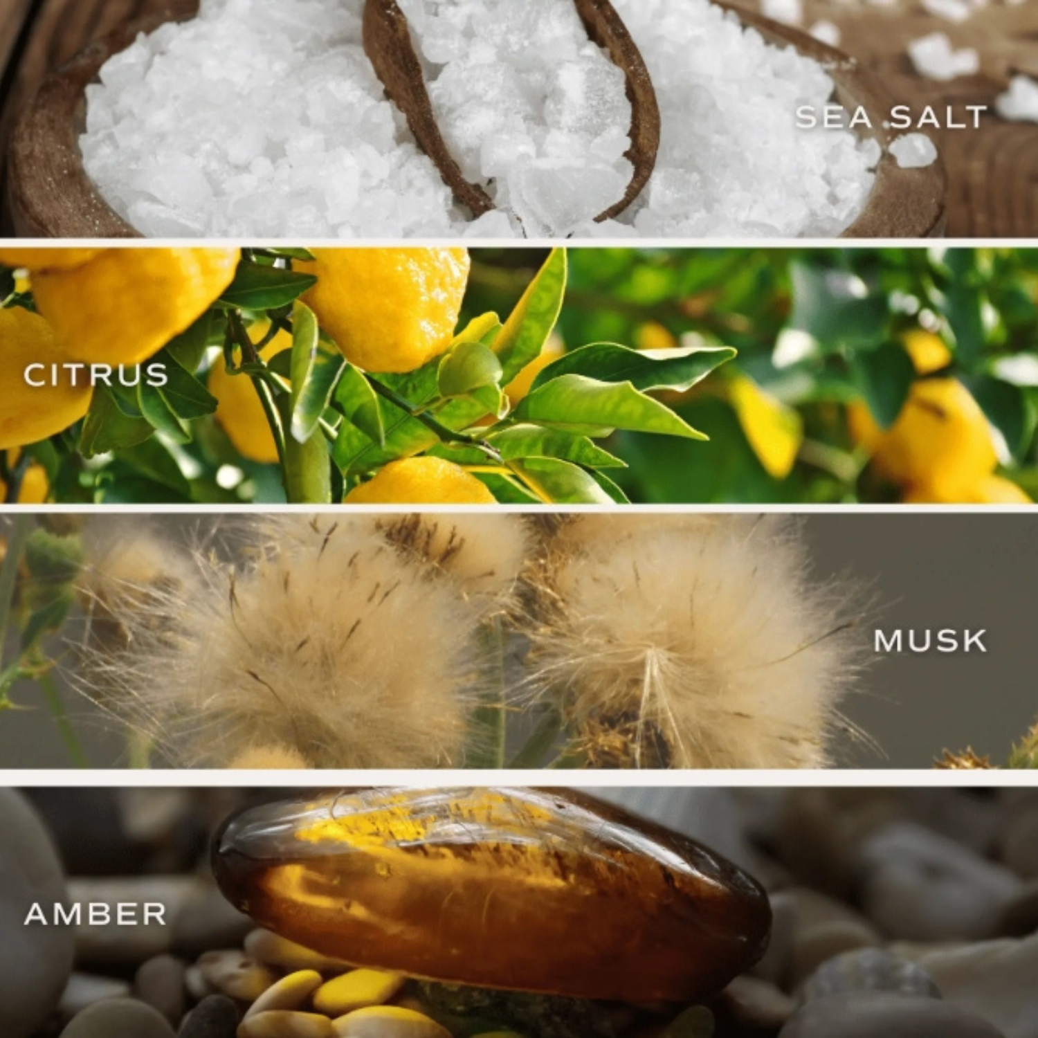 Gold Botanical Bloom Candle Gift (Set of 3)