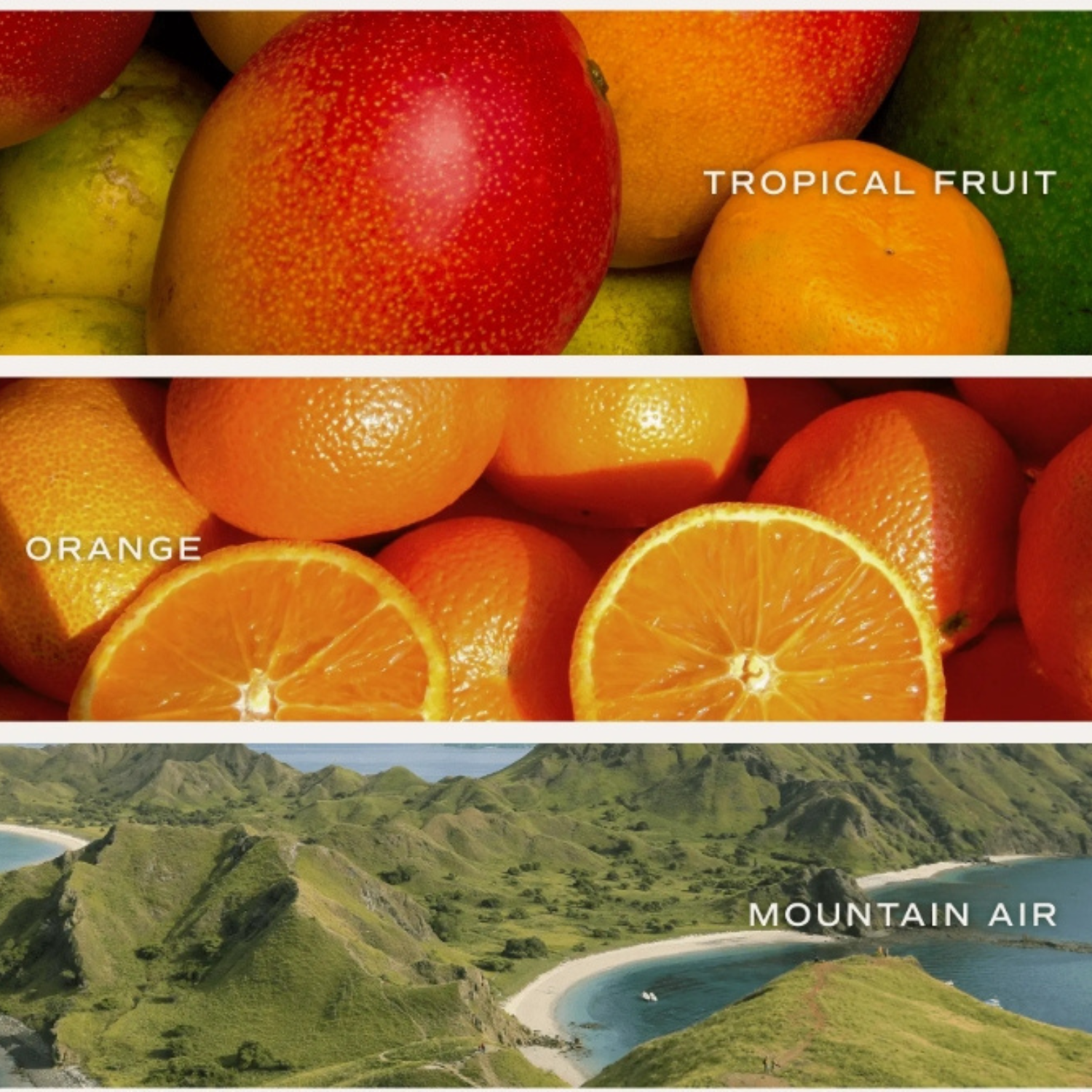 Gold Botanical Bloom Candle Gift (Set of 3)