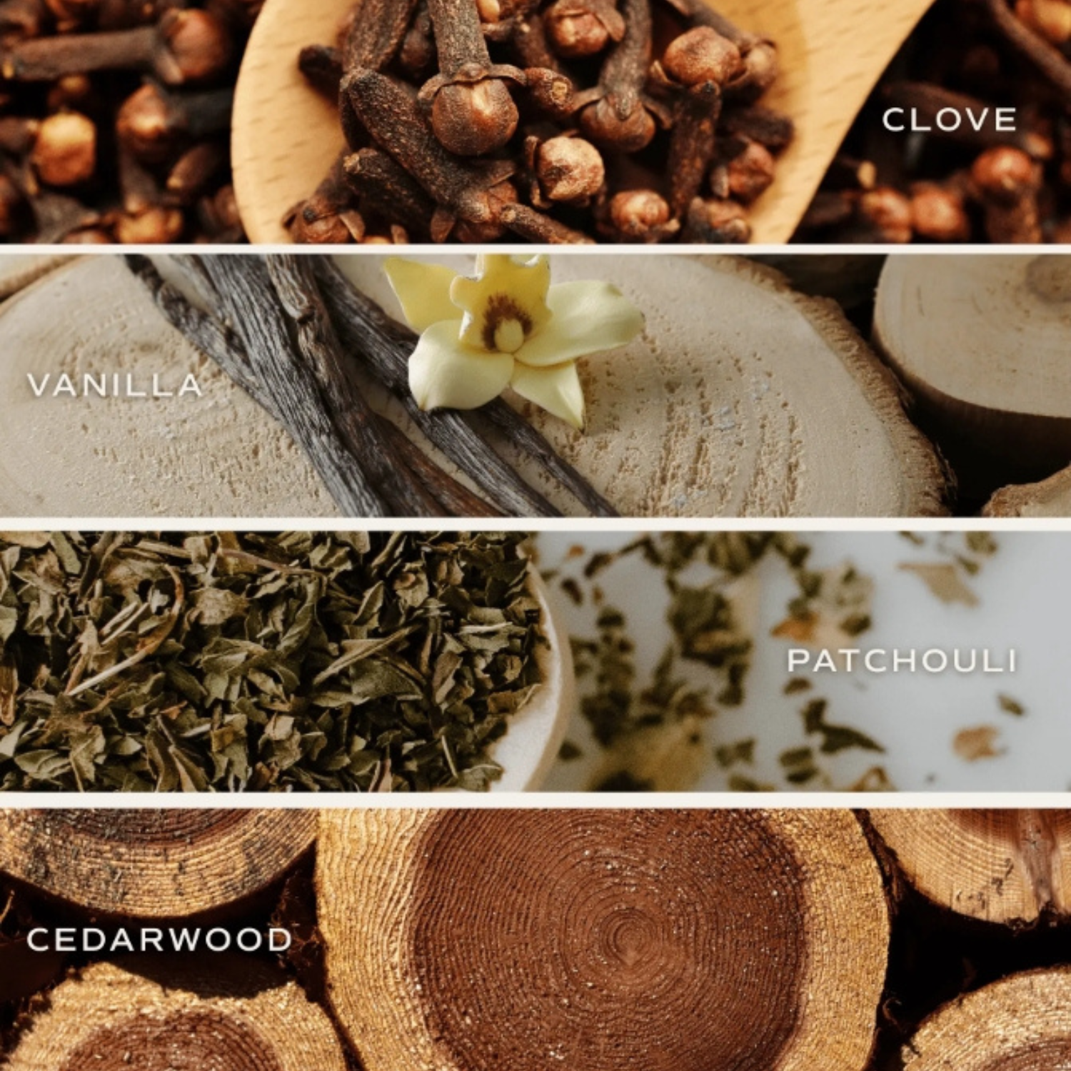 Gold Botanical Bloom Candle Gift (Set of 3)