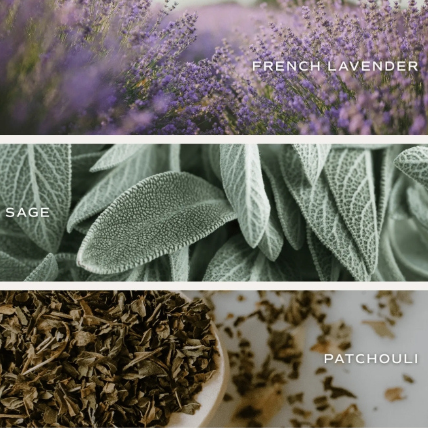 Green Botanical Bloom 12oz Glass Candle