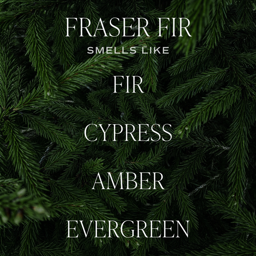 Fraser Fir Hanging Air Freshener | Fir, Cypress, Amber, Evergreen