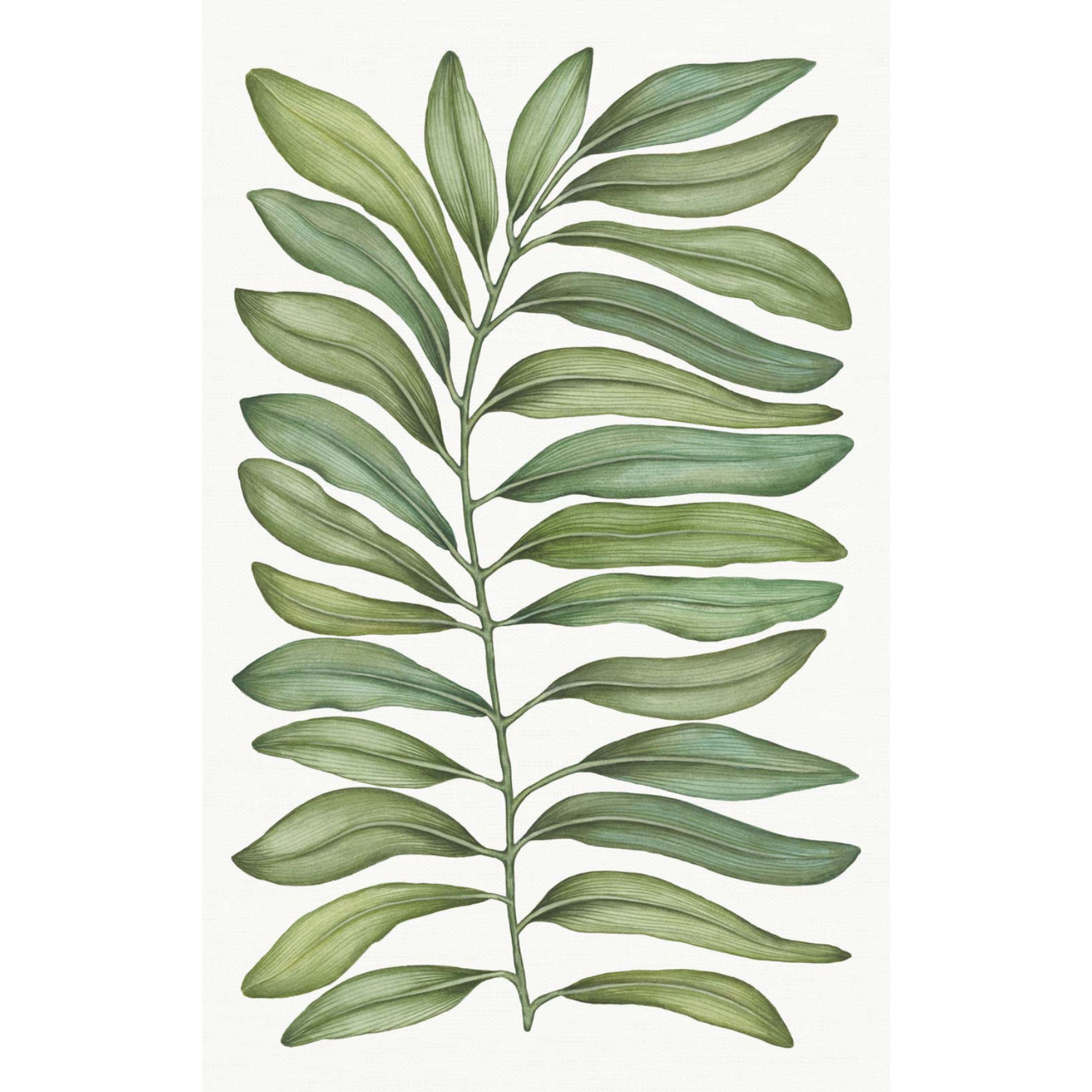 Tamarindo Tablecloth