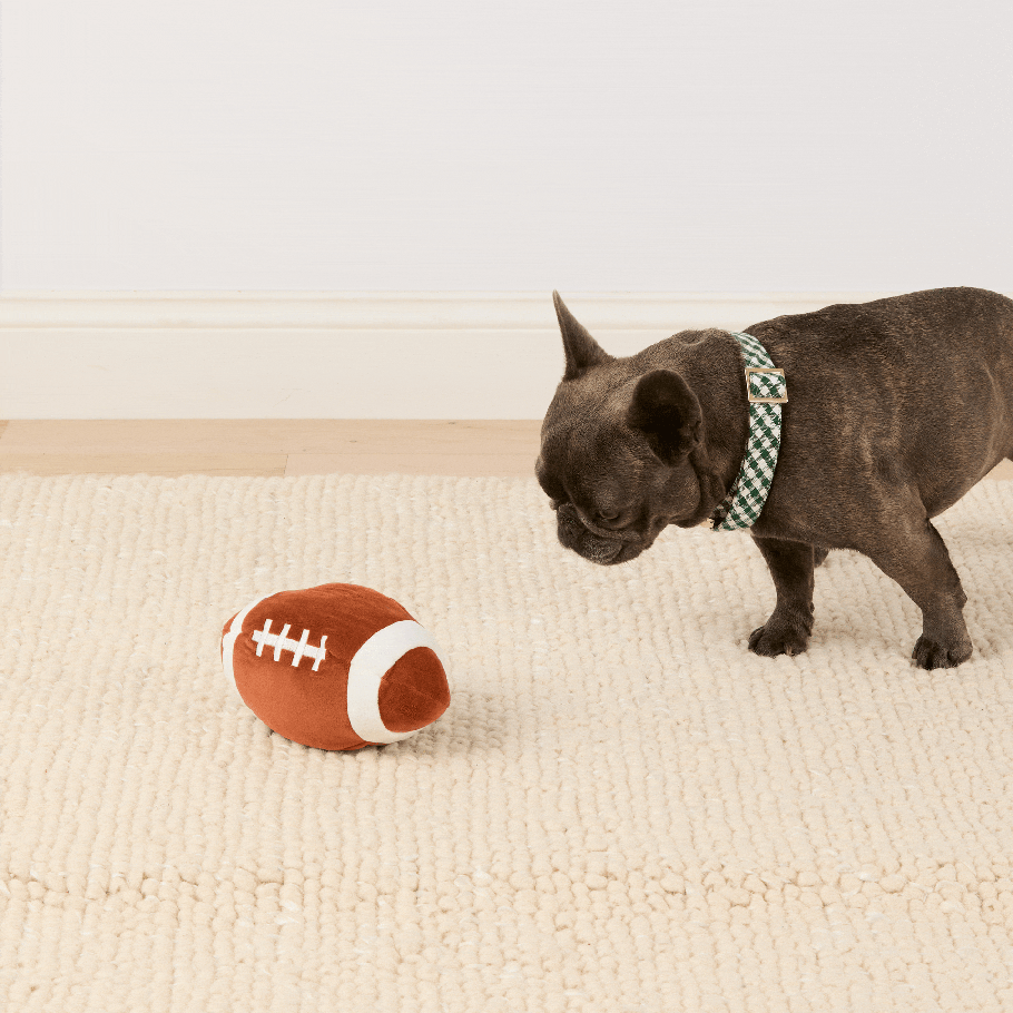 Pet Football Snuffle Toy