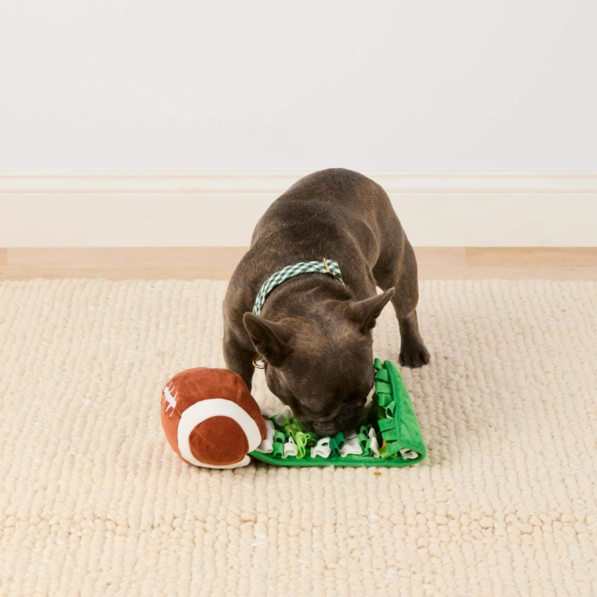 Pet Football Snuffle Toy