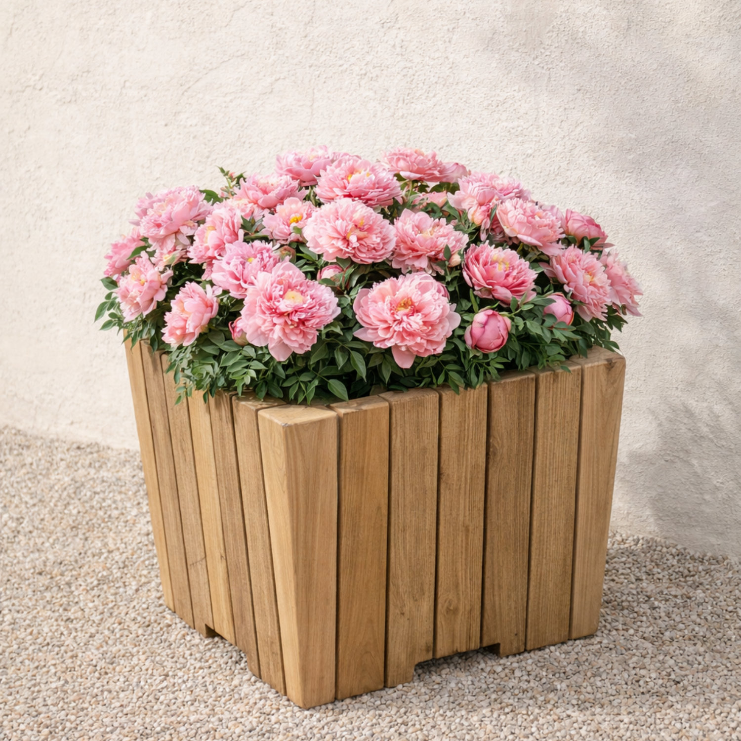 Plank 16" Square Teak Planter
