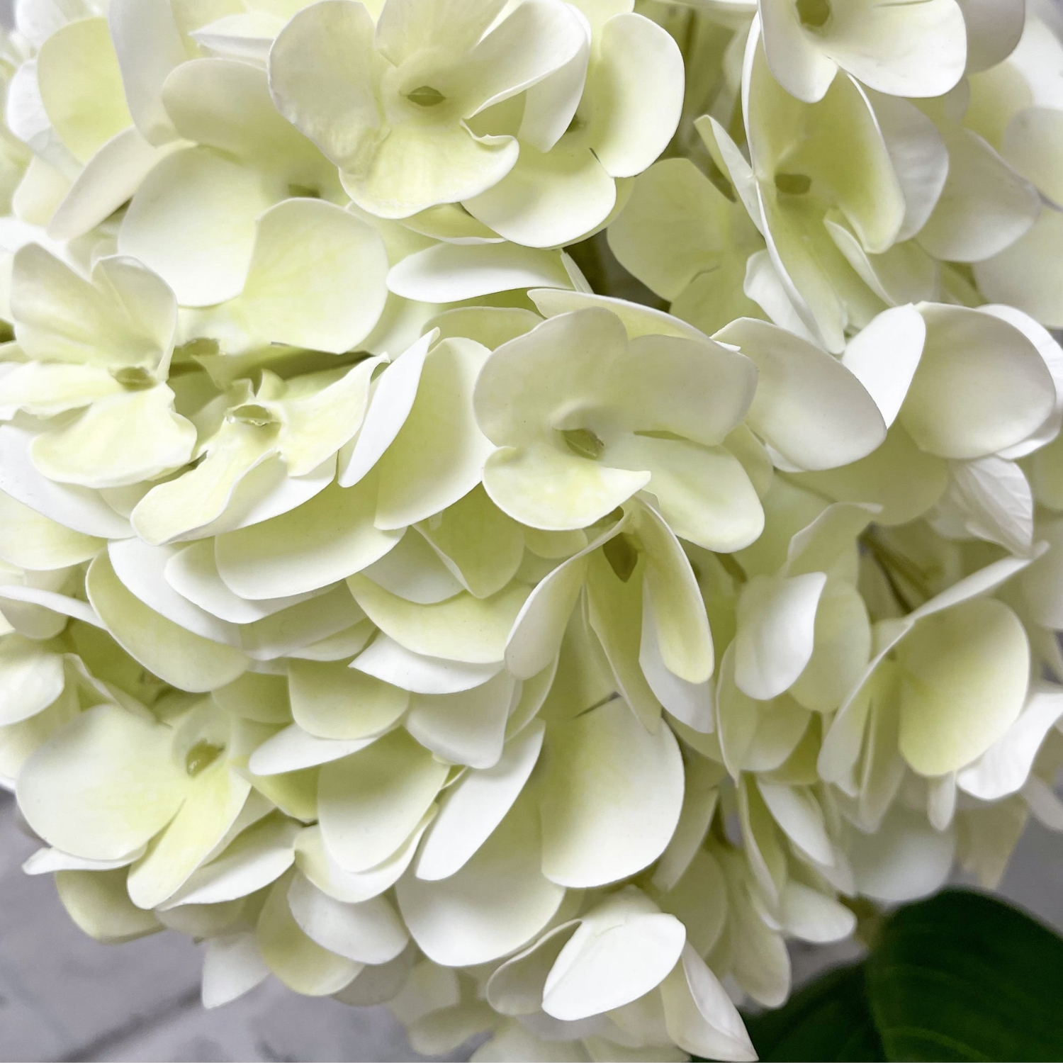 Artificial Fresh-Touch Hydrangea