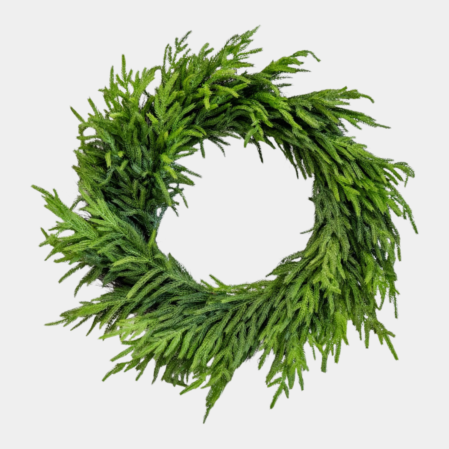 Artificial Fresh Touch Norfolk Pine Wreaths