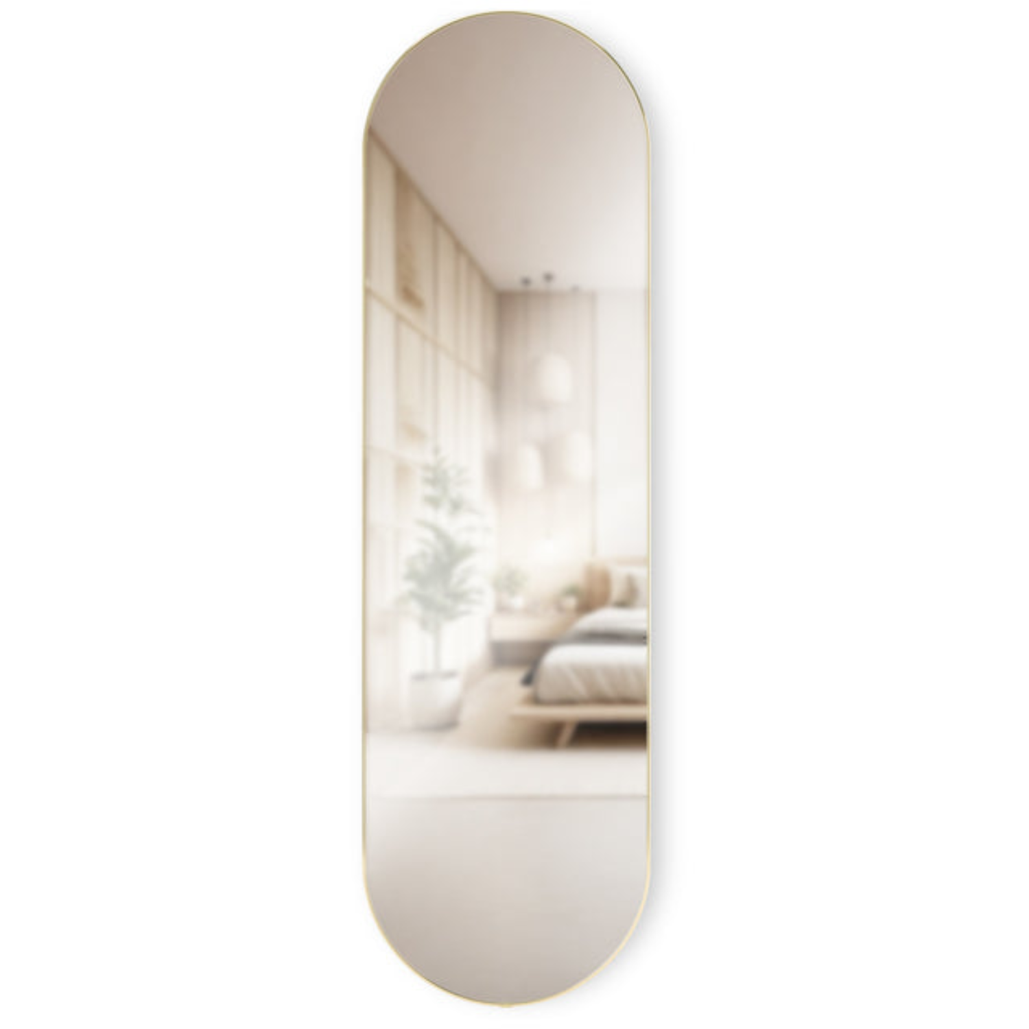 Arc Full Length Oval Brass Mirror