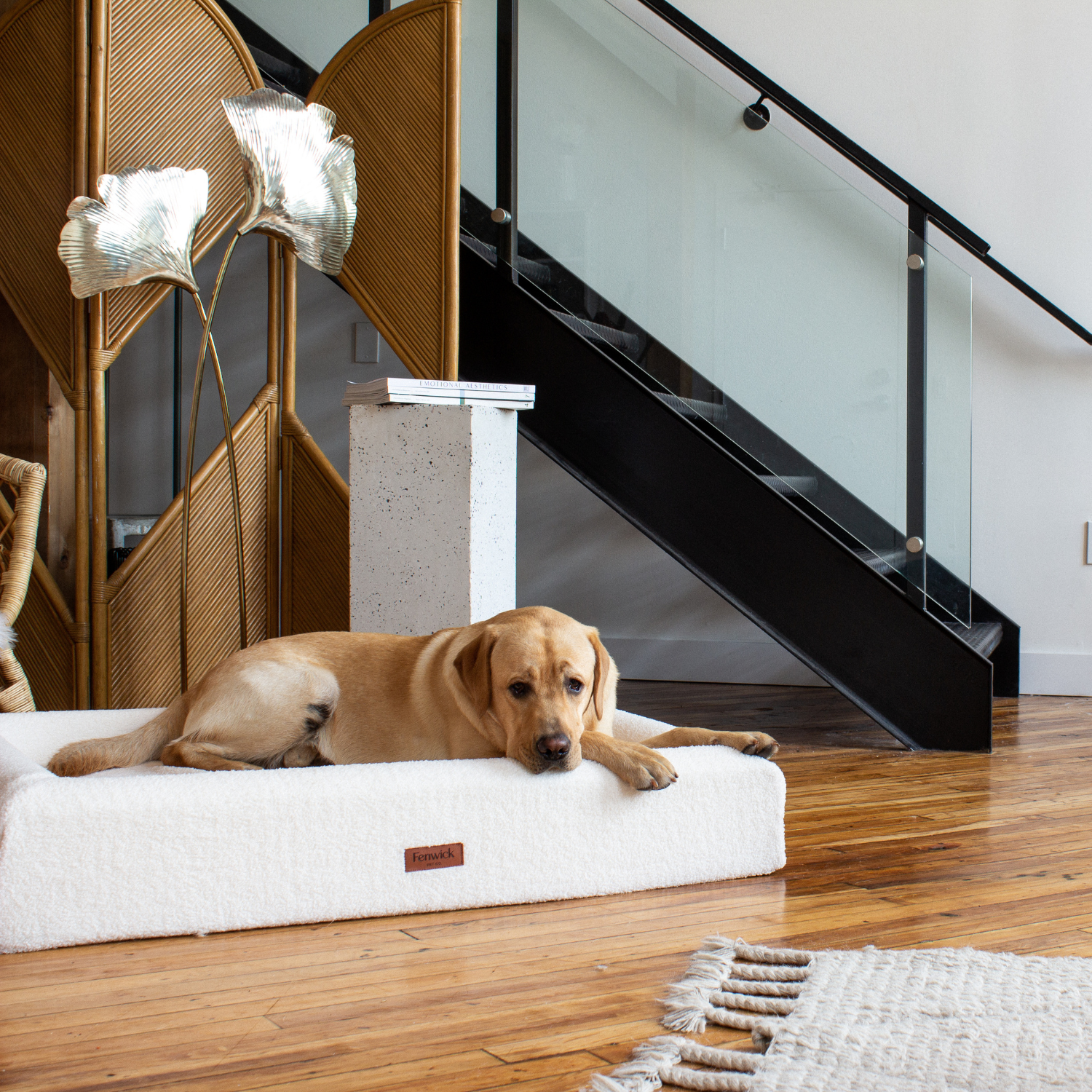 Indoor Sherpa Ivory Dog Bed