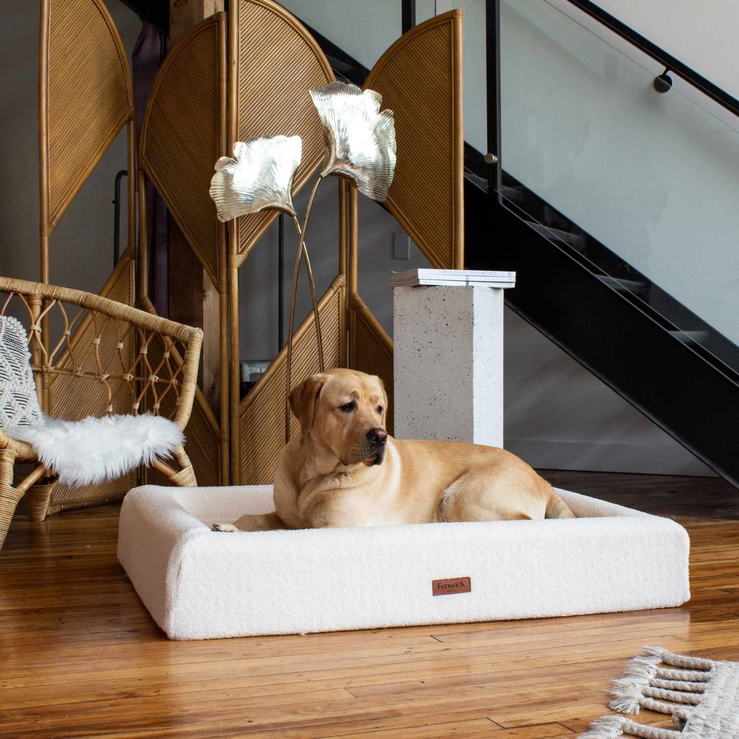 Indoor Sherpa Ivory Dog Bed