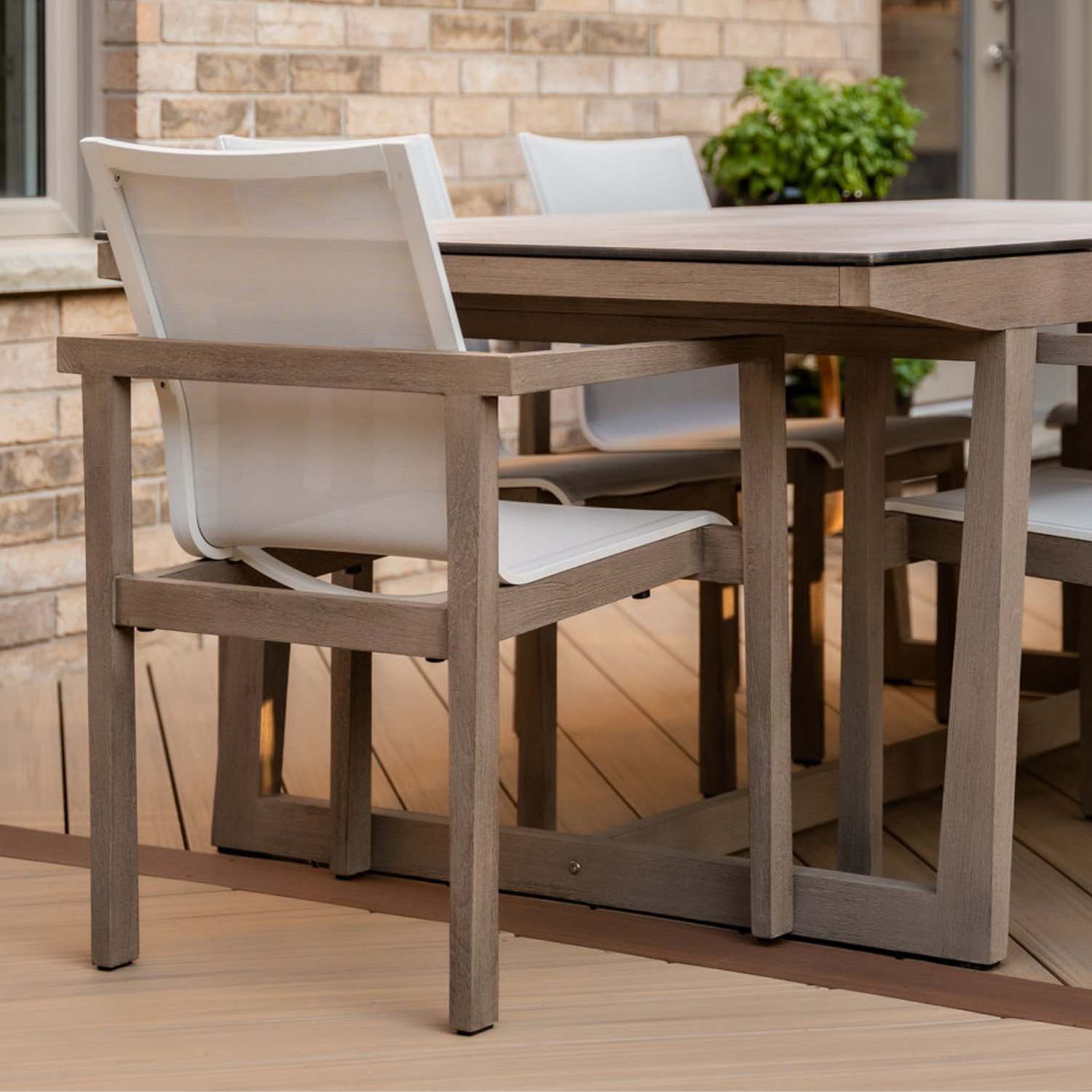 Nova Eden Grey Arm Chair