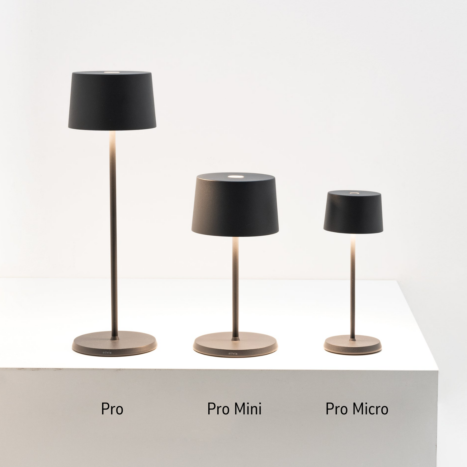 Olivia Micro Cordless Indoor/Outdoor Table Lamp