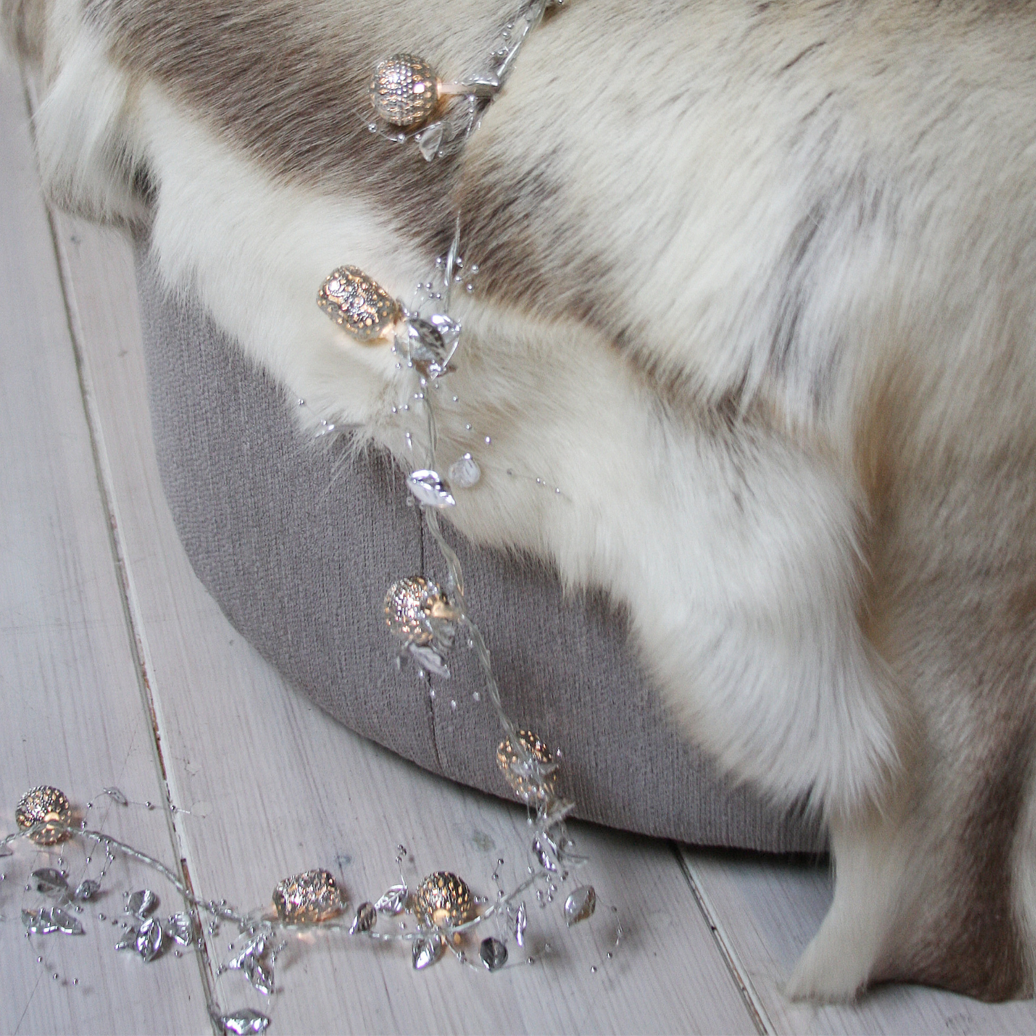 Ornament Indoor String Lights