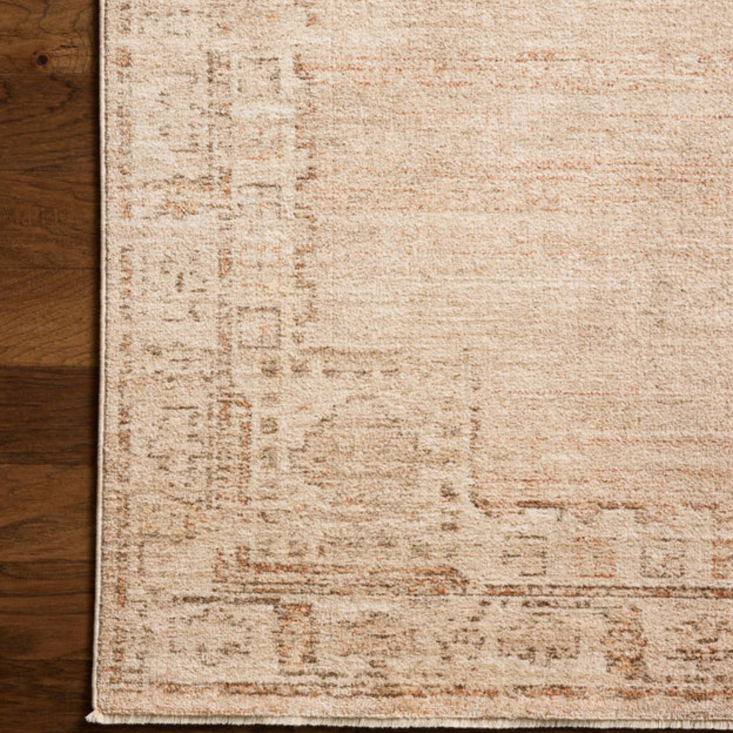 Chris Loves Julia x Loloi Palma Spice/Natural Rug