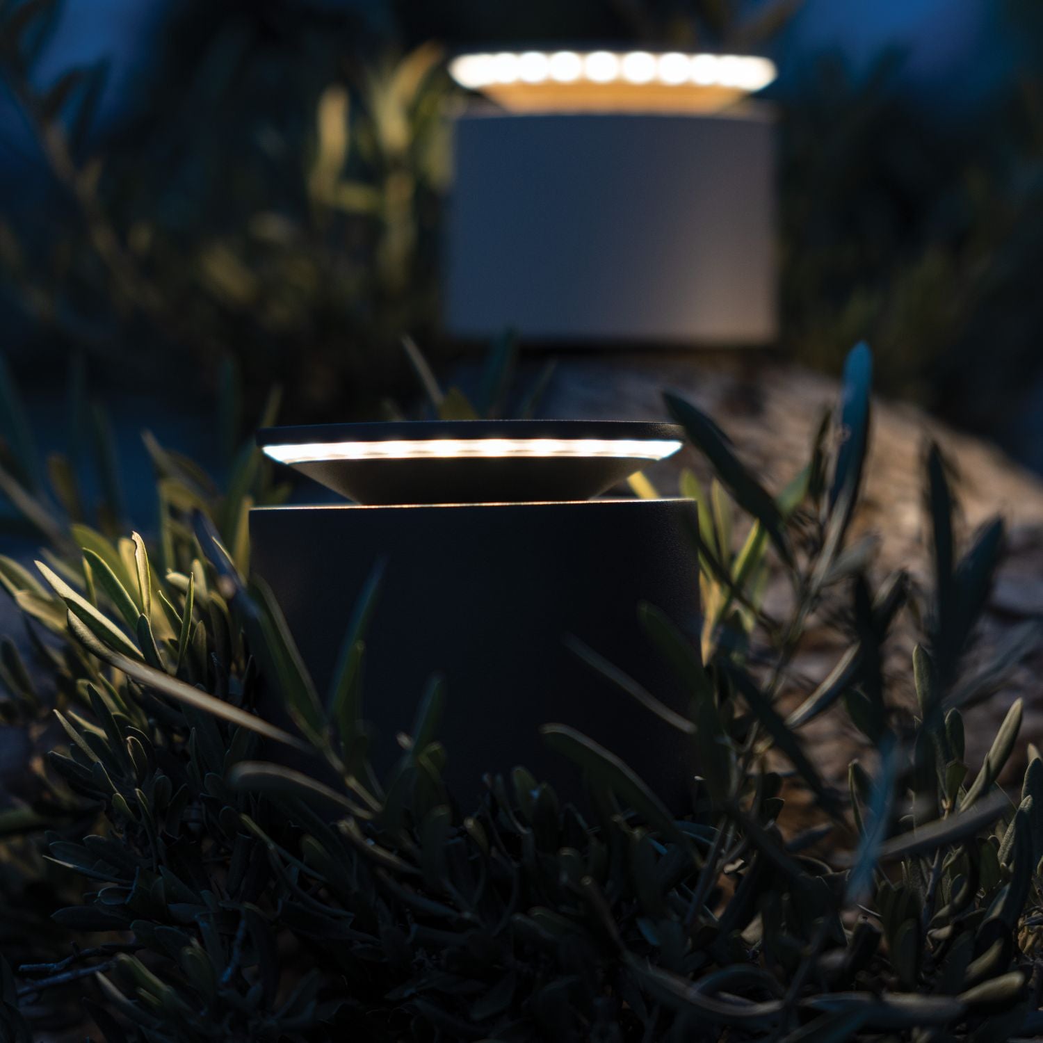 Push Up Pro Cordless Lamp