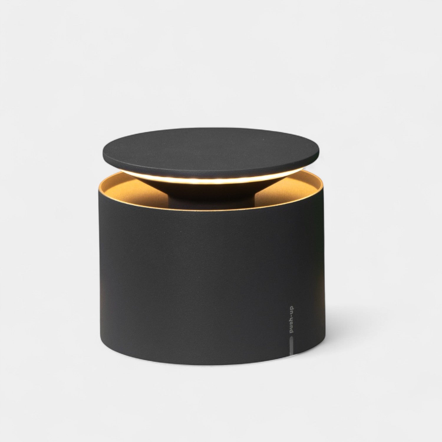 Push Up Pro Cordless Lamp