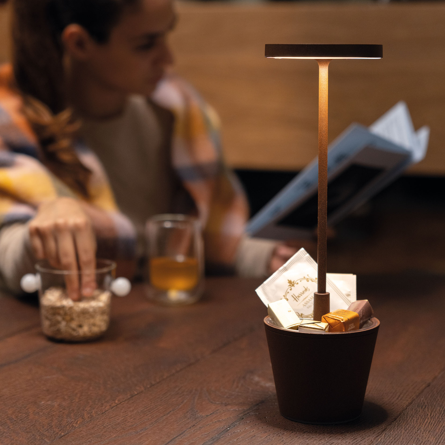 Poldina Pro Upside Down Cordless Table Lamp