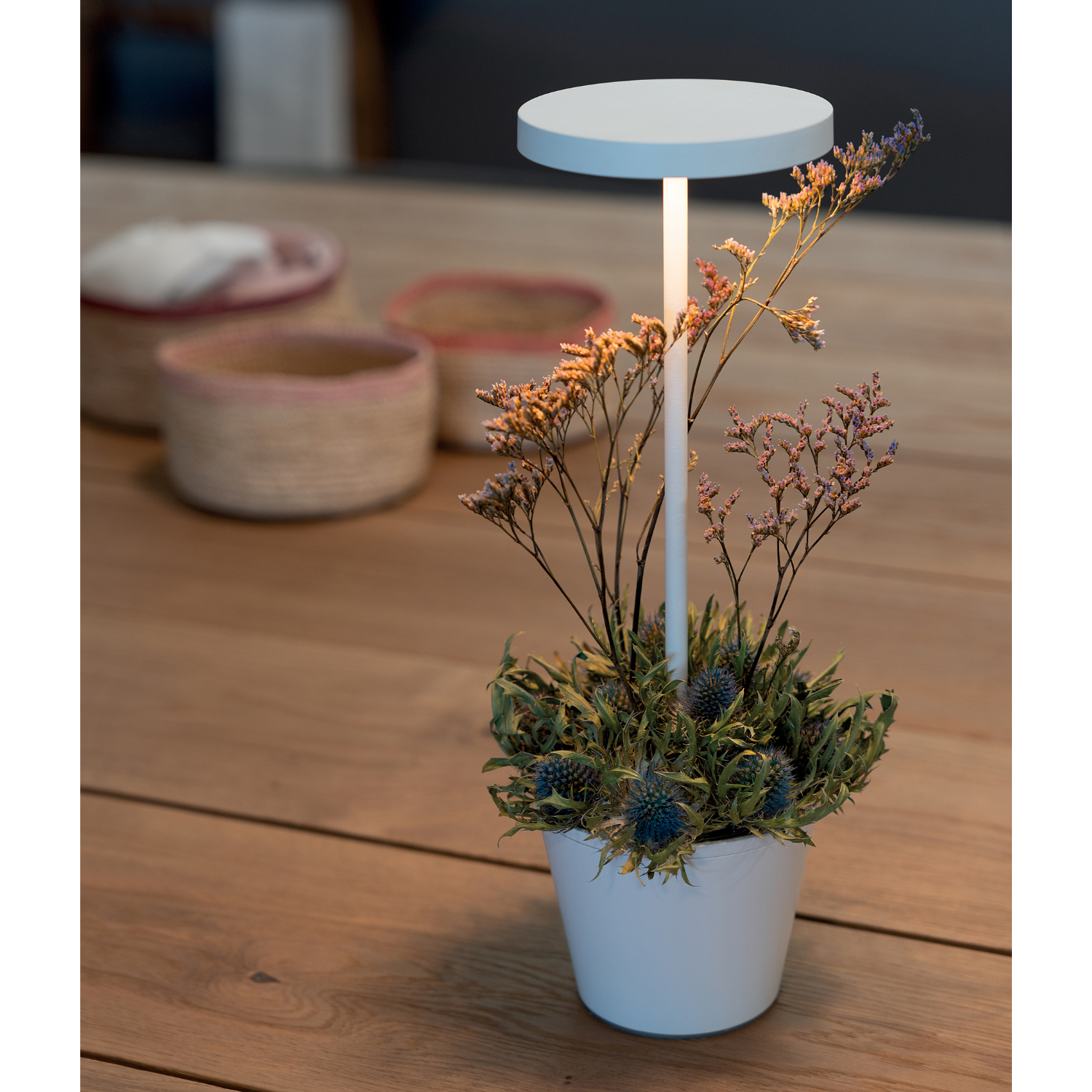 Poldina Pro Upside Down Cordless Table Lamp