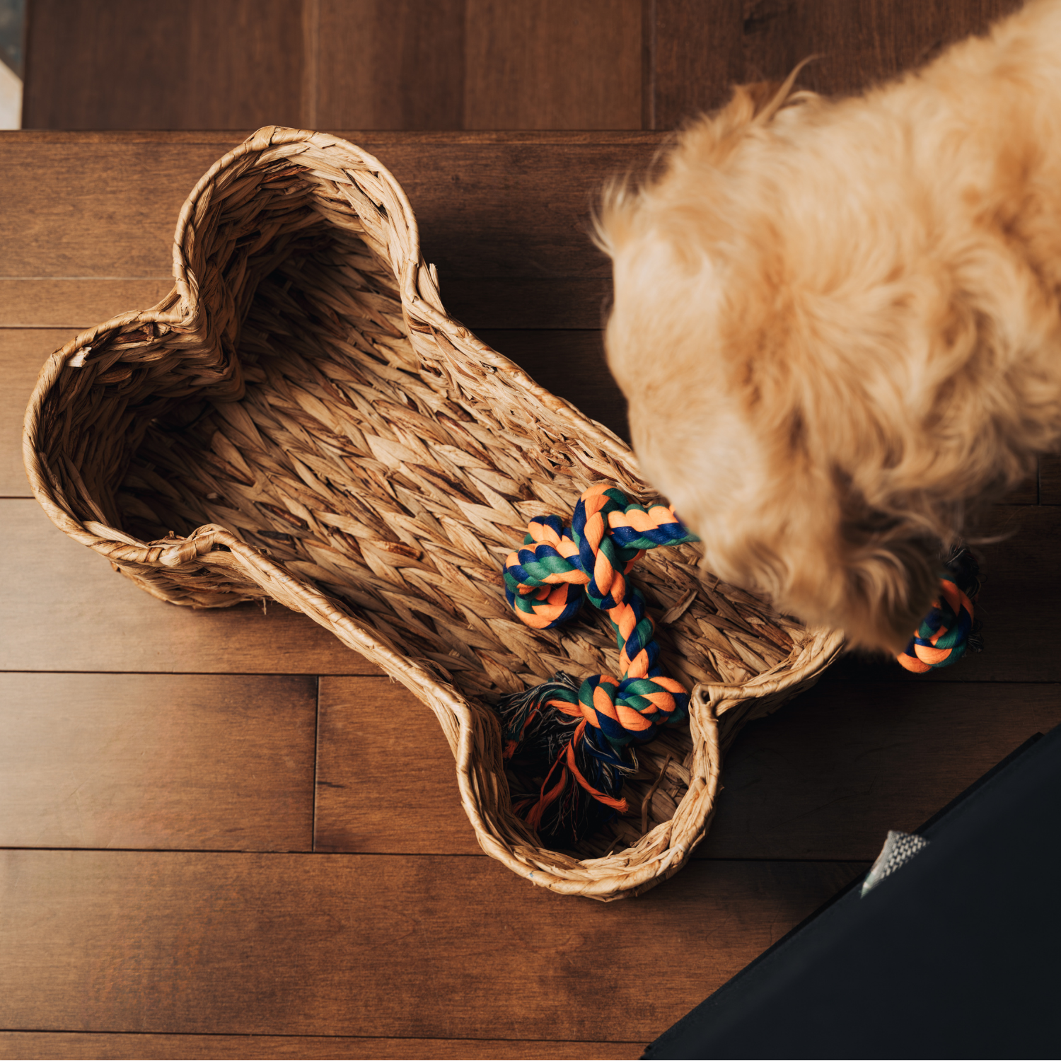 Pet Bone Storage Basket
