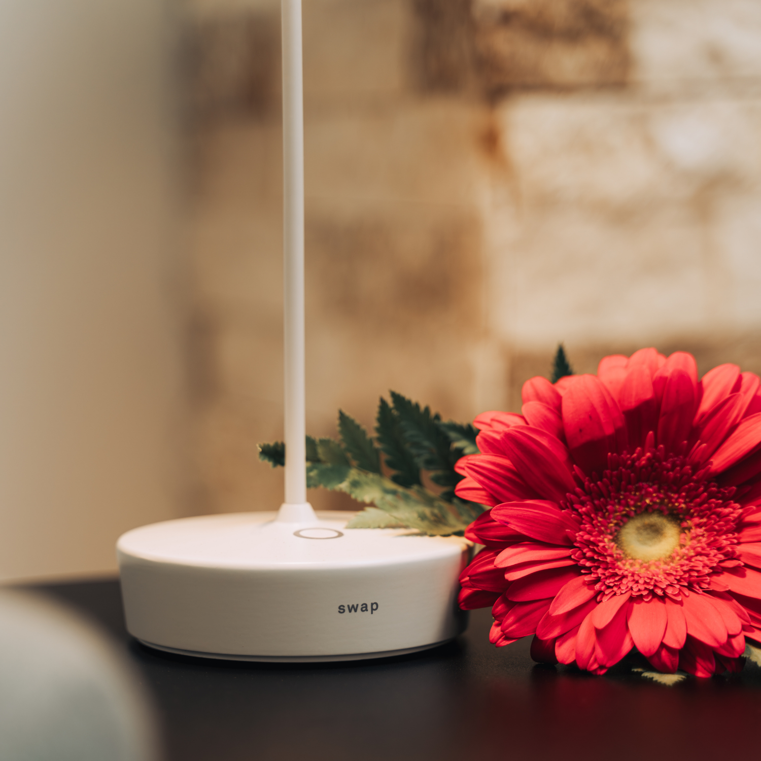 Swap Pro Cordless Lamp