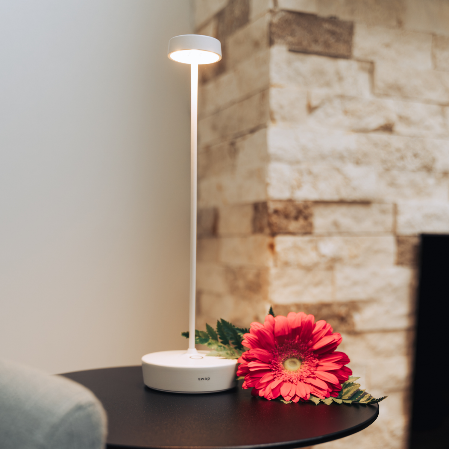 Swap Pro Cordless Lamp