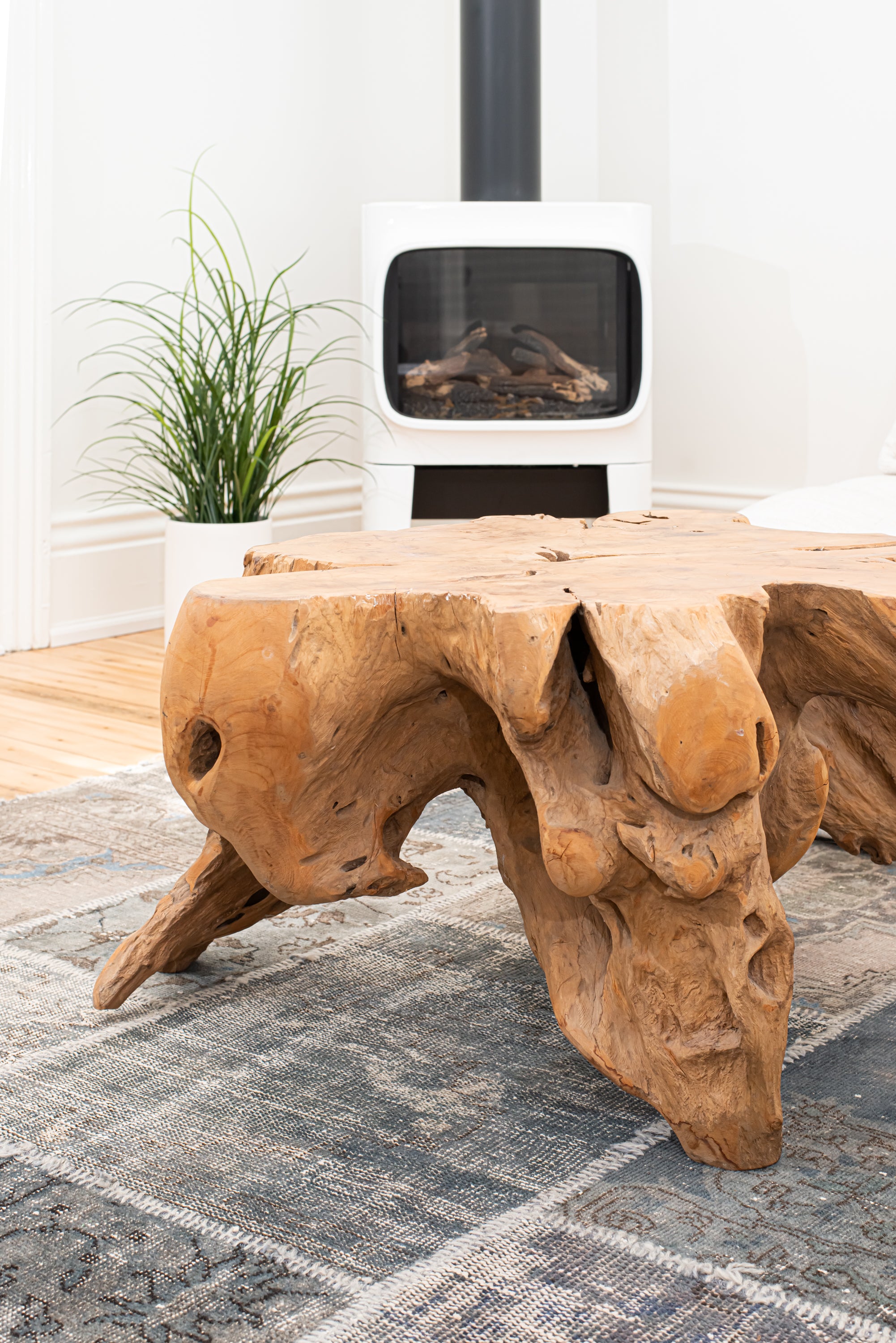 Teak Root Coffee Table