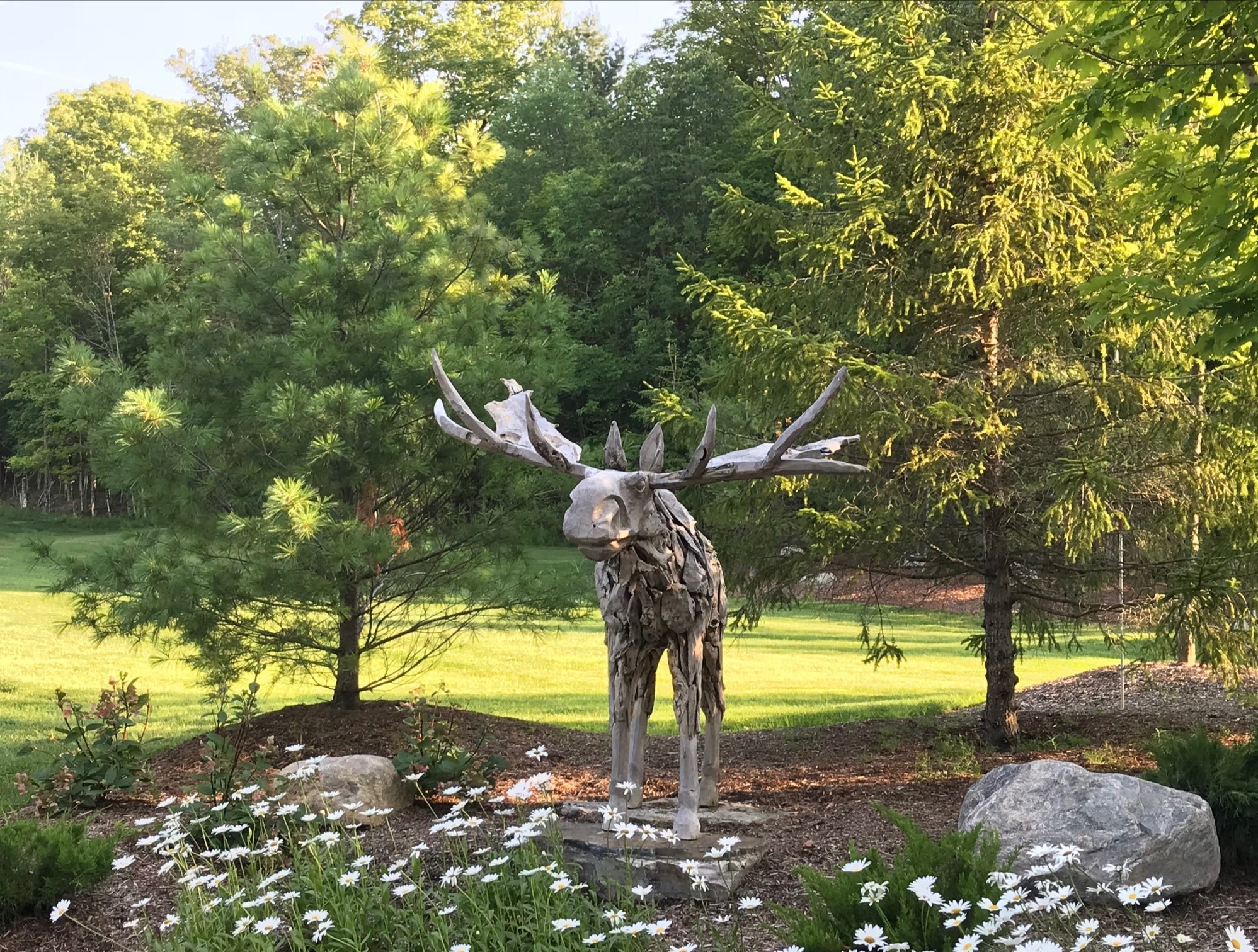 Life Size Reclaimed Teak Moose