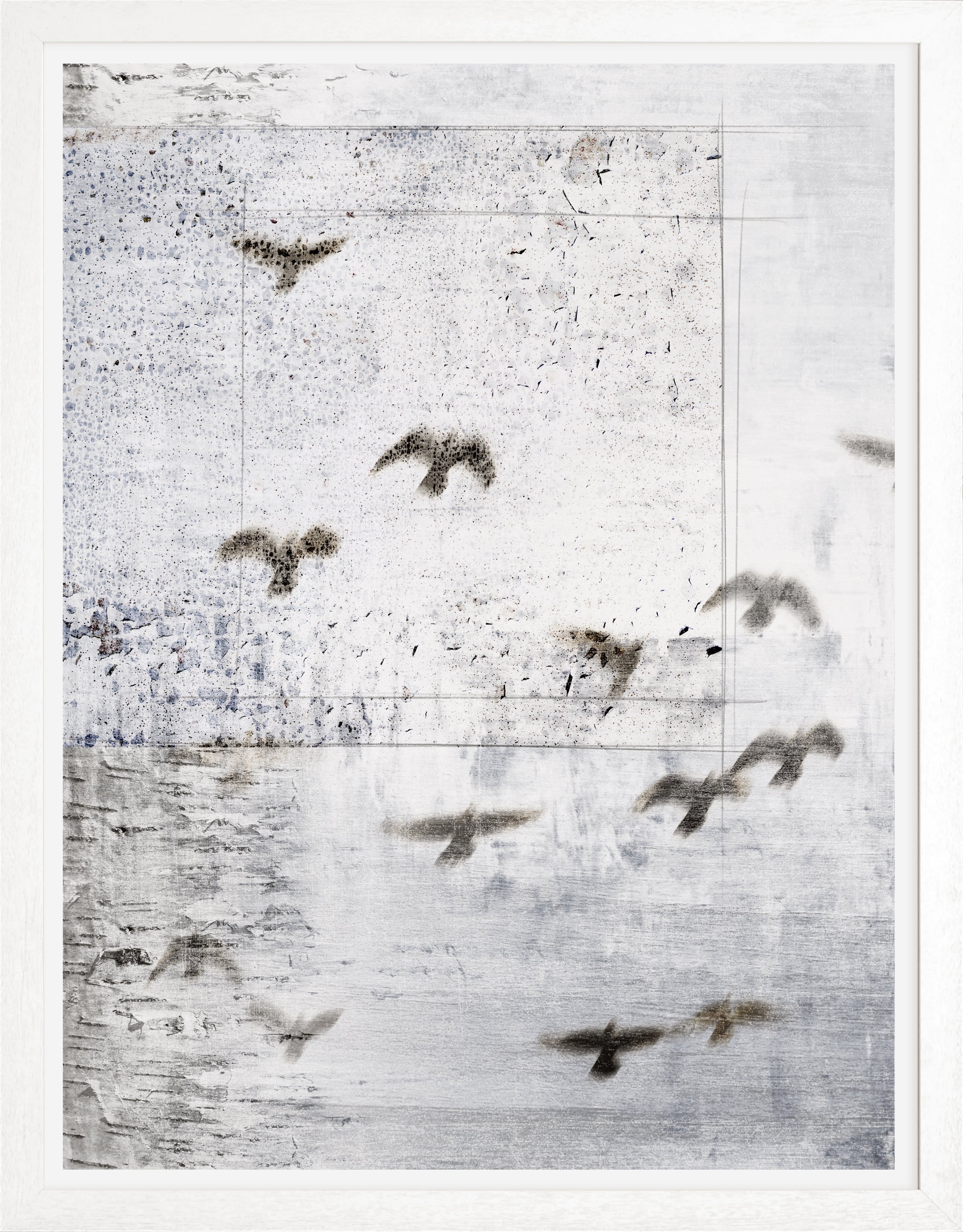 Shadowy silhouettes of birds, tones of grey, indigo and neutrals on textured surface. White wood frame with glass