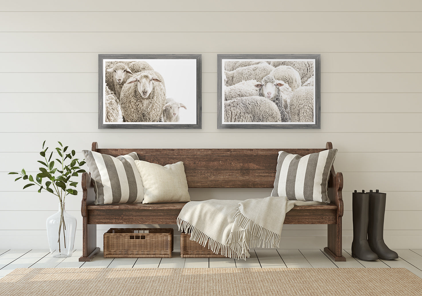 Wooly Stare Wall Art