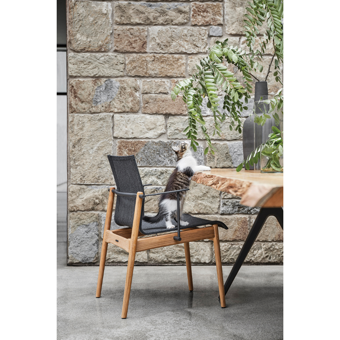 Gloster Sway Anthracite Arm Chair