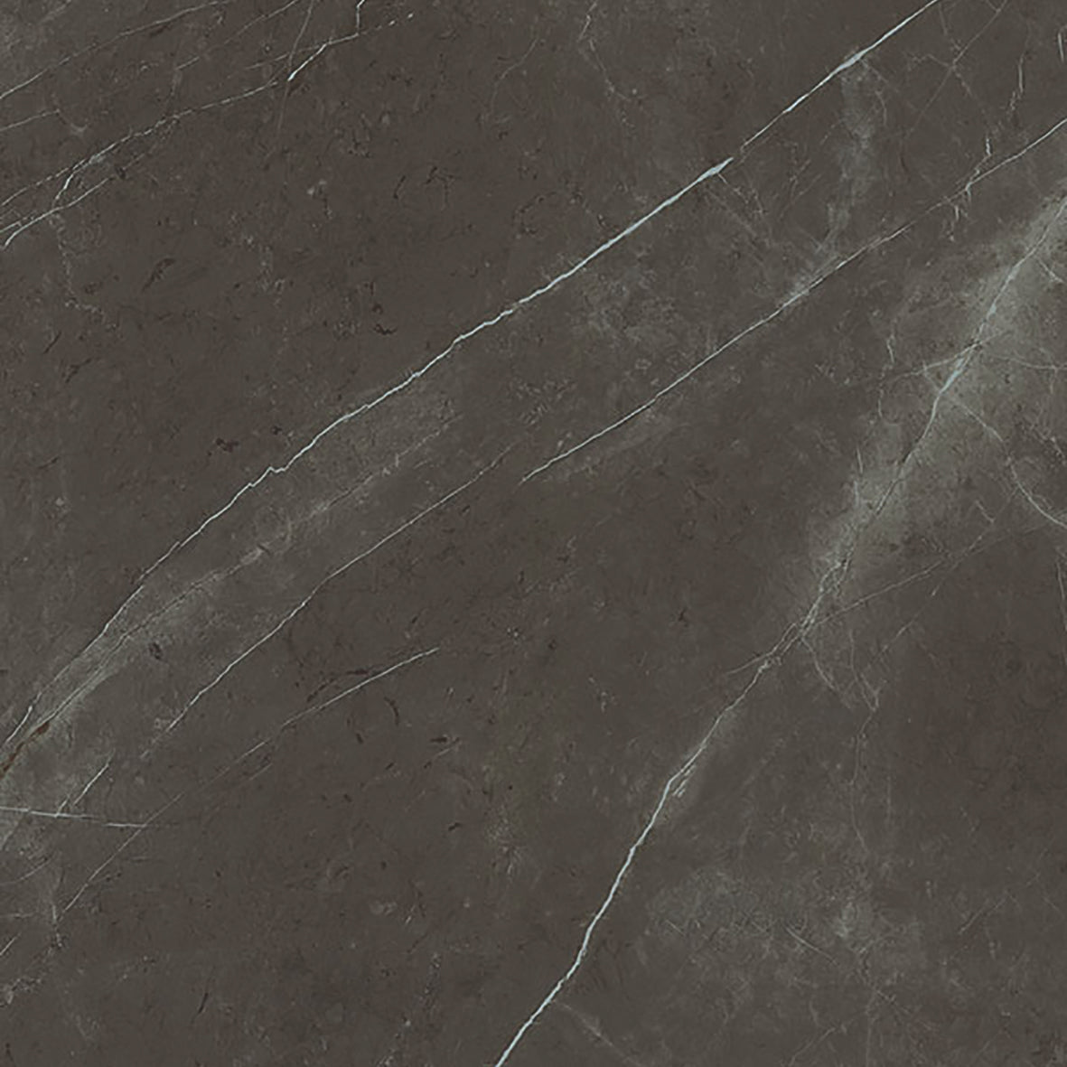 Gloster Sepal Ceramic Coffee Table