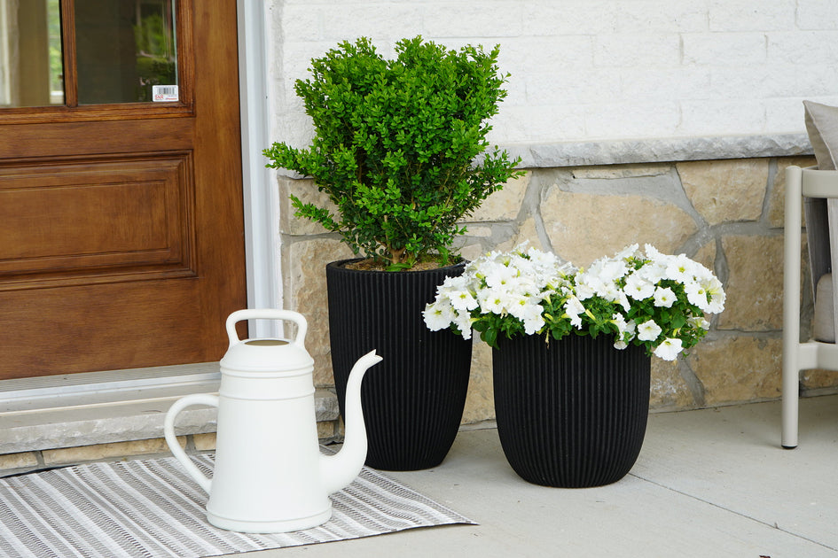 Pots & Planters Hauser Company Stores