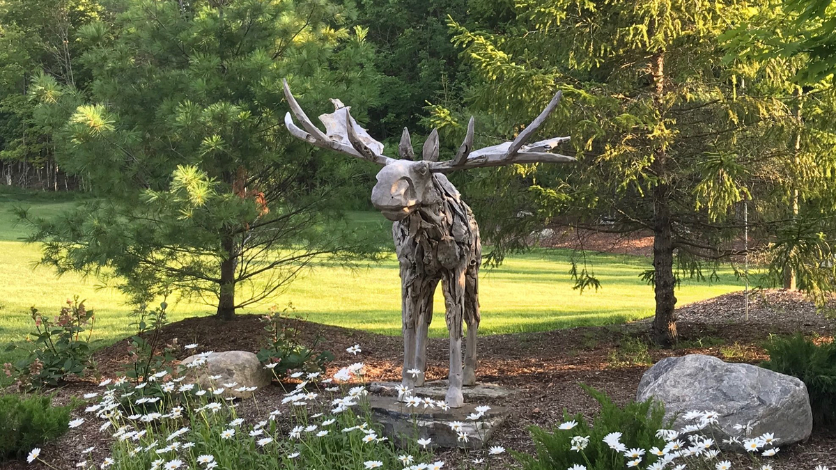 wooden moose statue in garden
