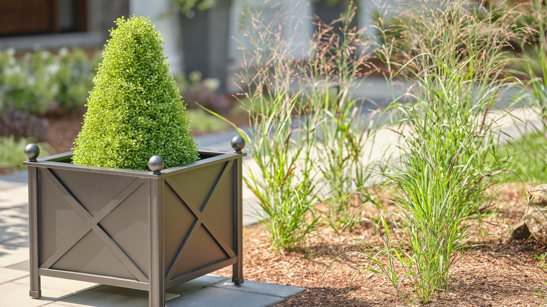 small bush in decorative planter by garden