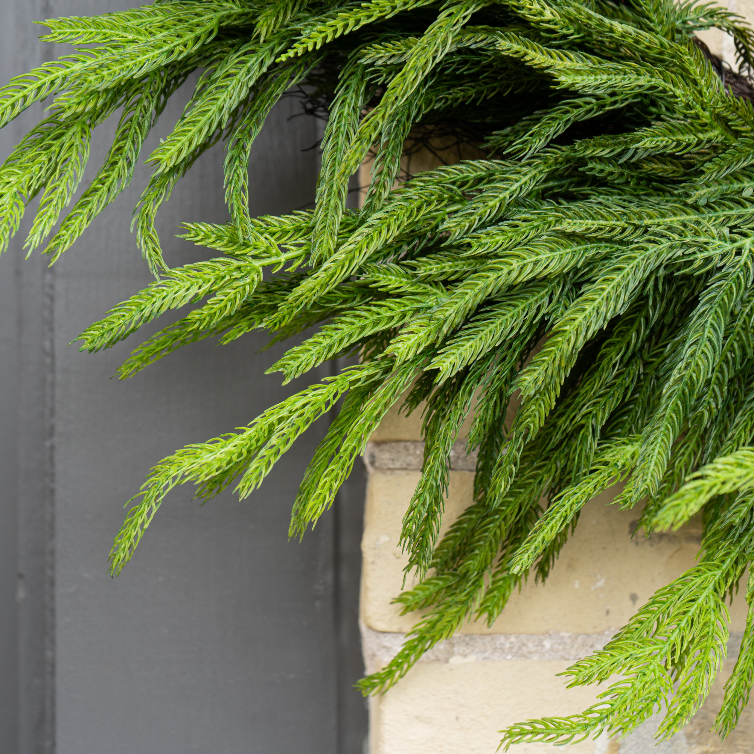 Artificial Fresh Touch Norfolk Pine Wreaths