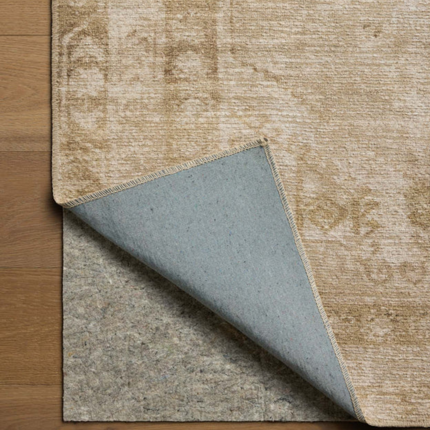 Amber Lewis x Loloi Cambria Natural/Jade Rug