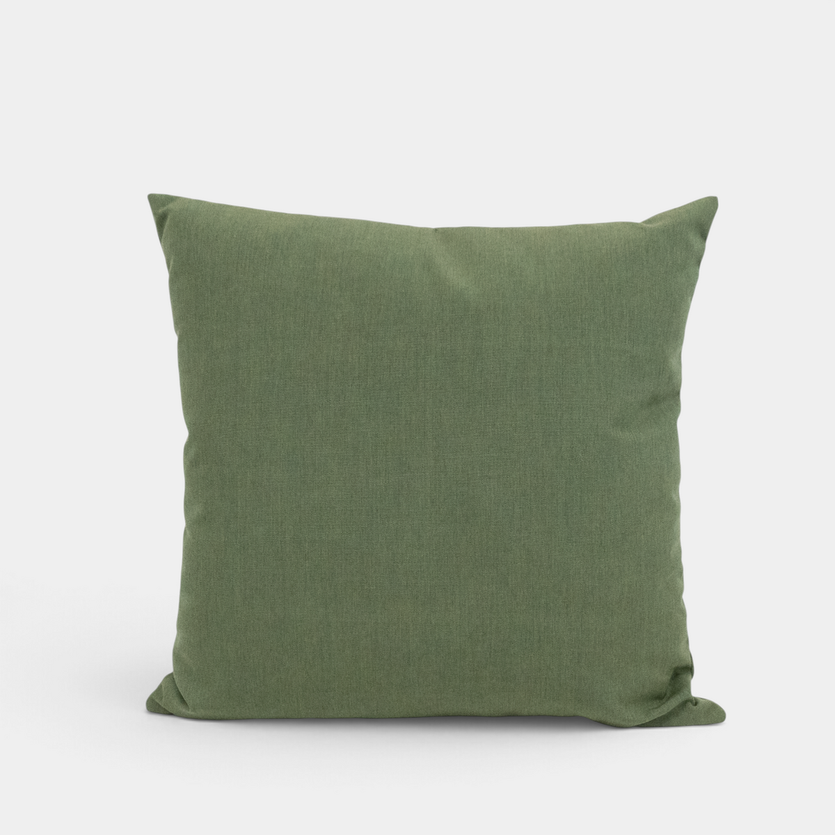 Canvas Fern 20