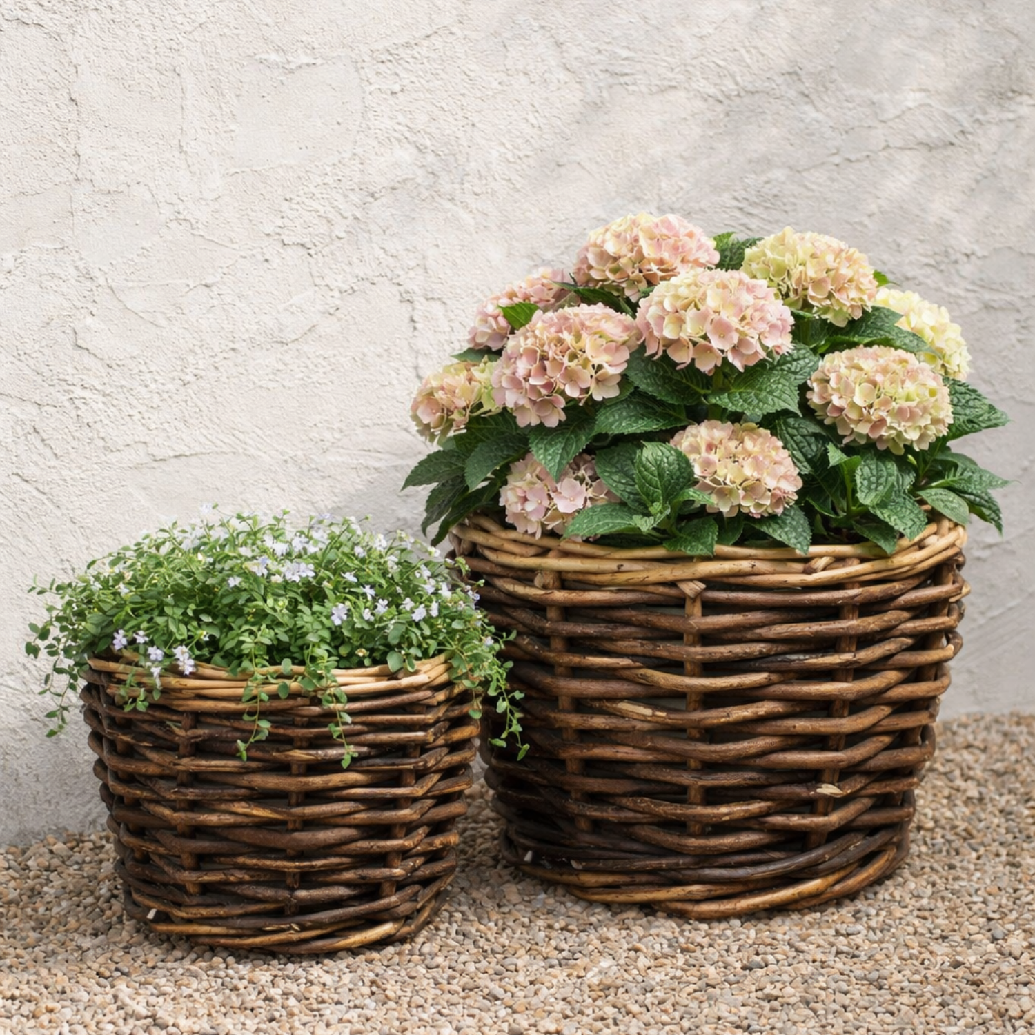 Sudbury Tapered Rattan Brown Plant Basket