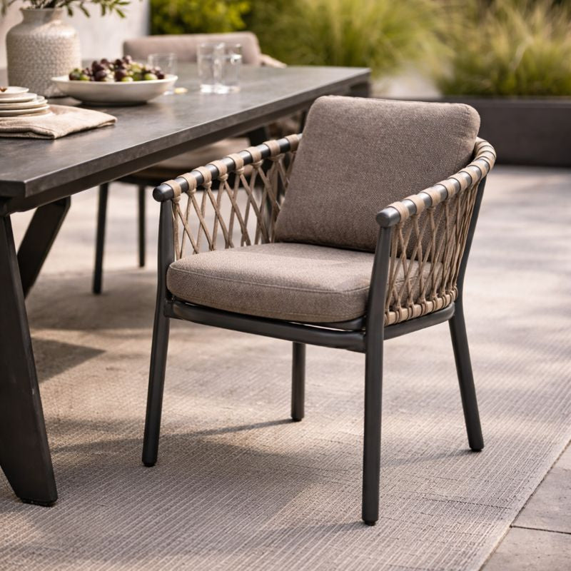 Bellvue Dining Arm Chair - Vita Brown