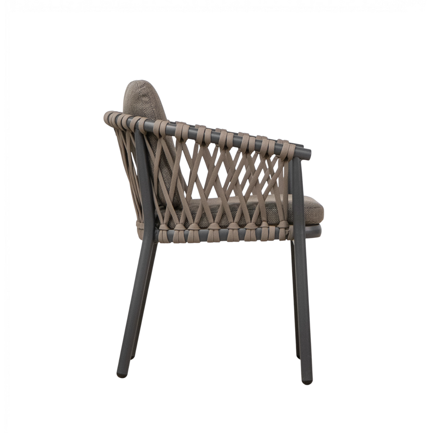 Bellvue Dining Arm Chair - Vita Brown