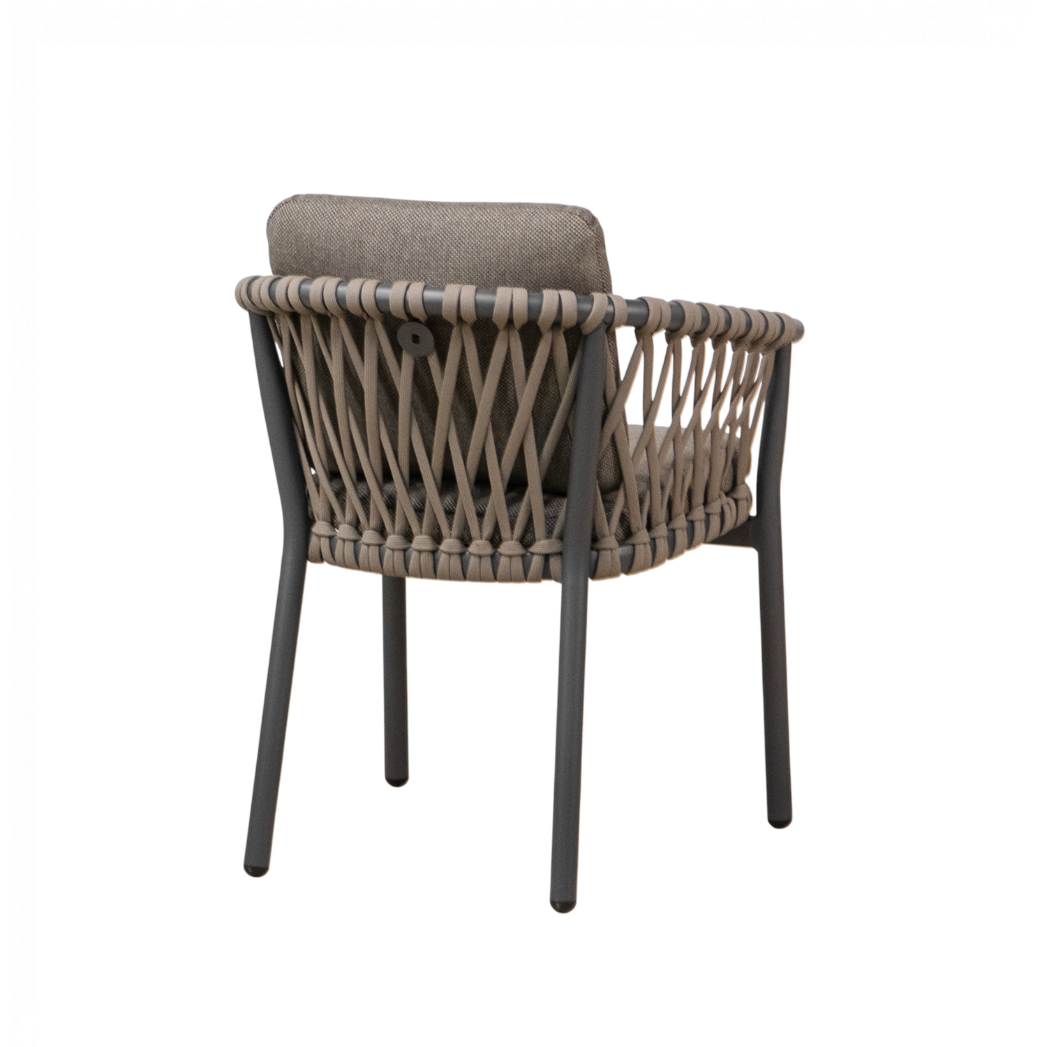 Bellvue Dining Arm Chair - Vita Brown