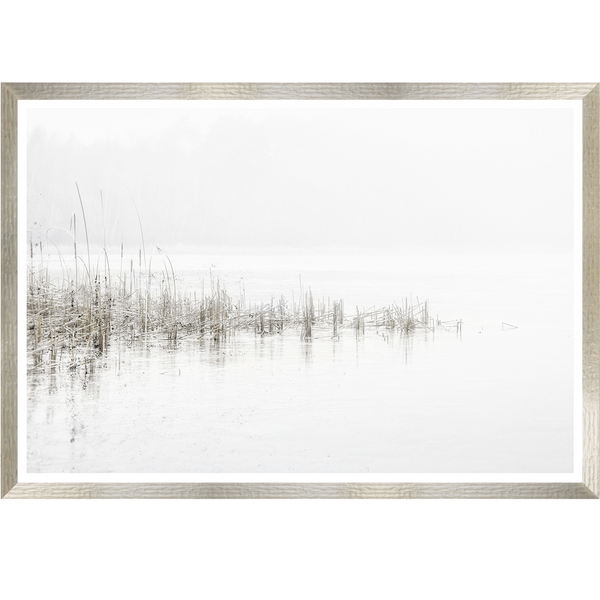 Tranquil Water Grass VI Wall Art