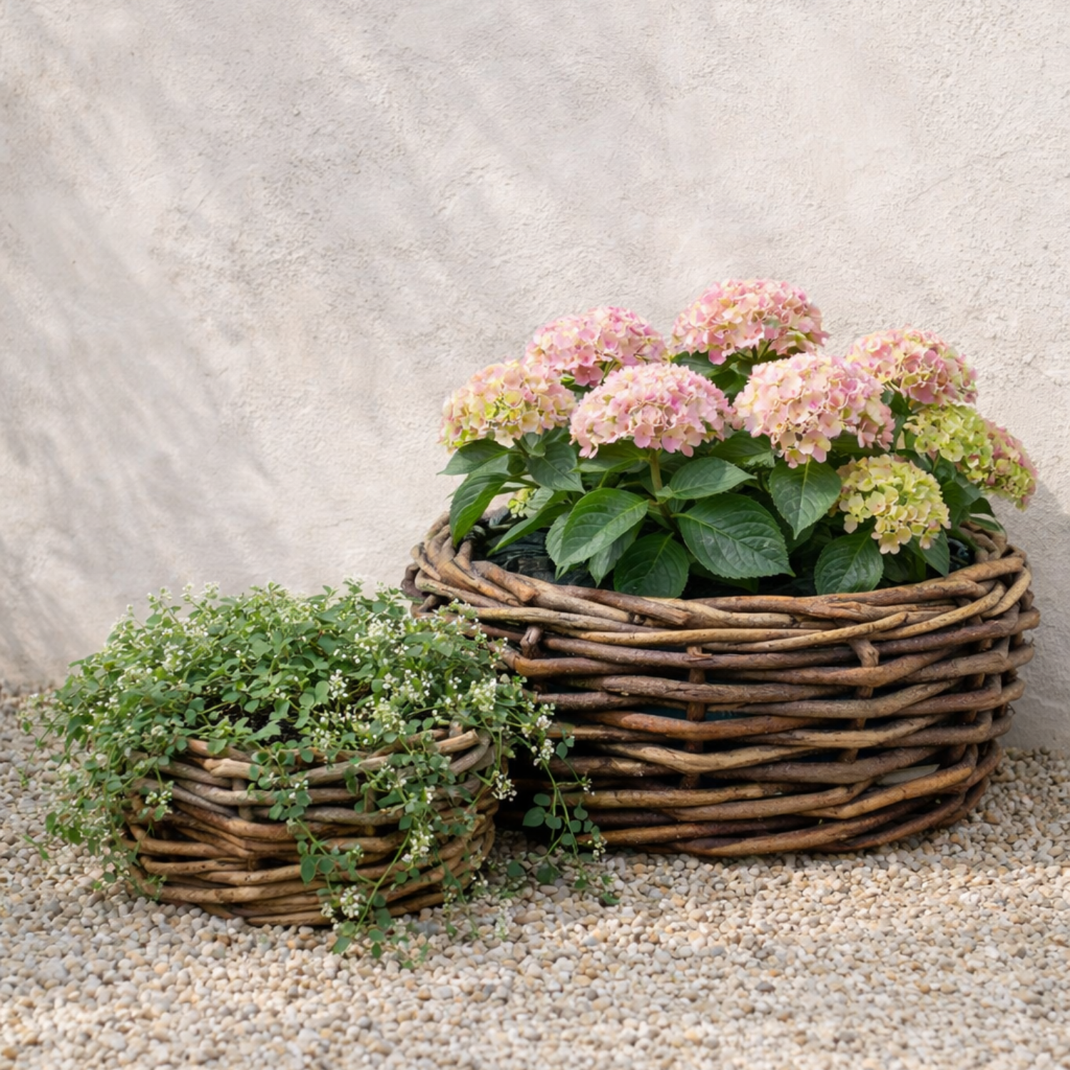 Sudbury Rattan Plant Baskets