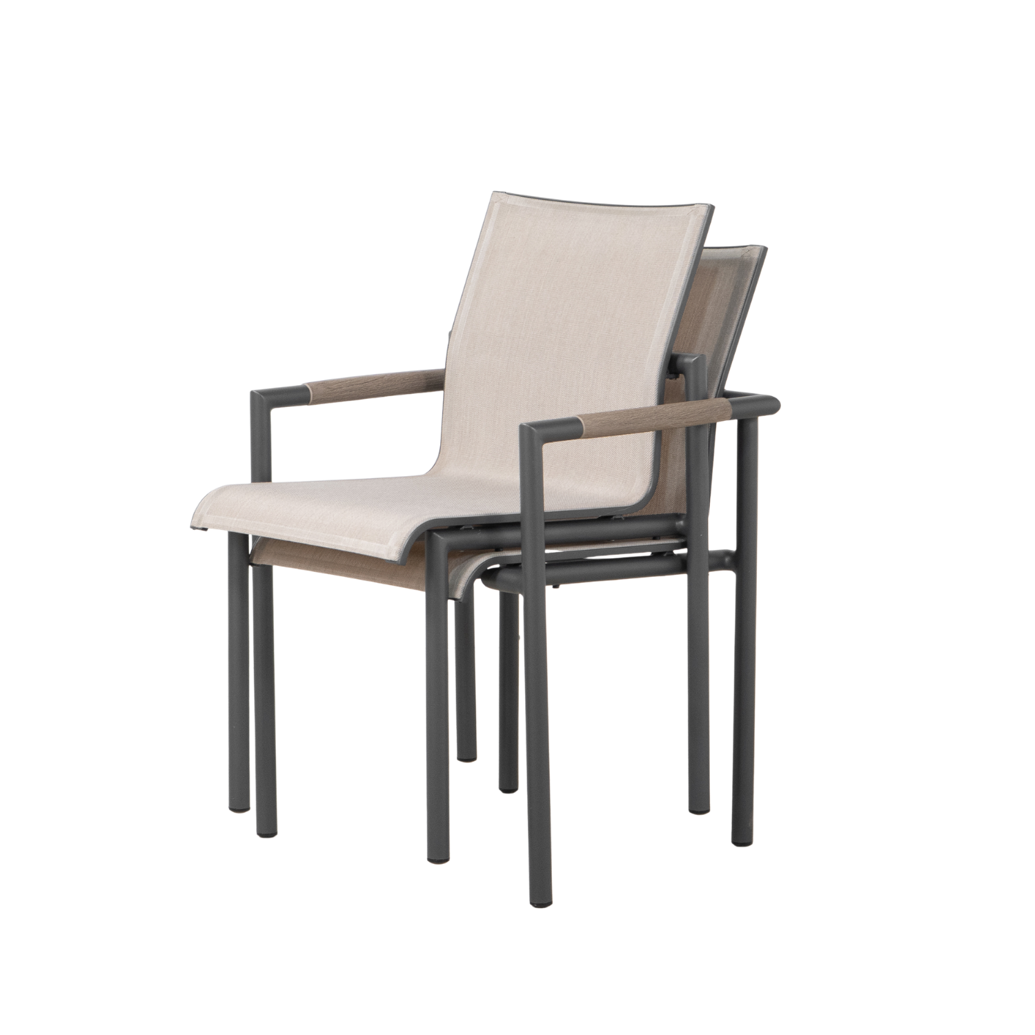 Oxford Dining Arm Chair - Barley Beige