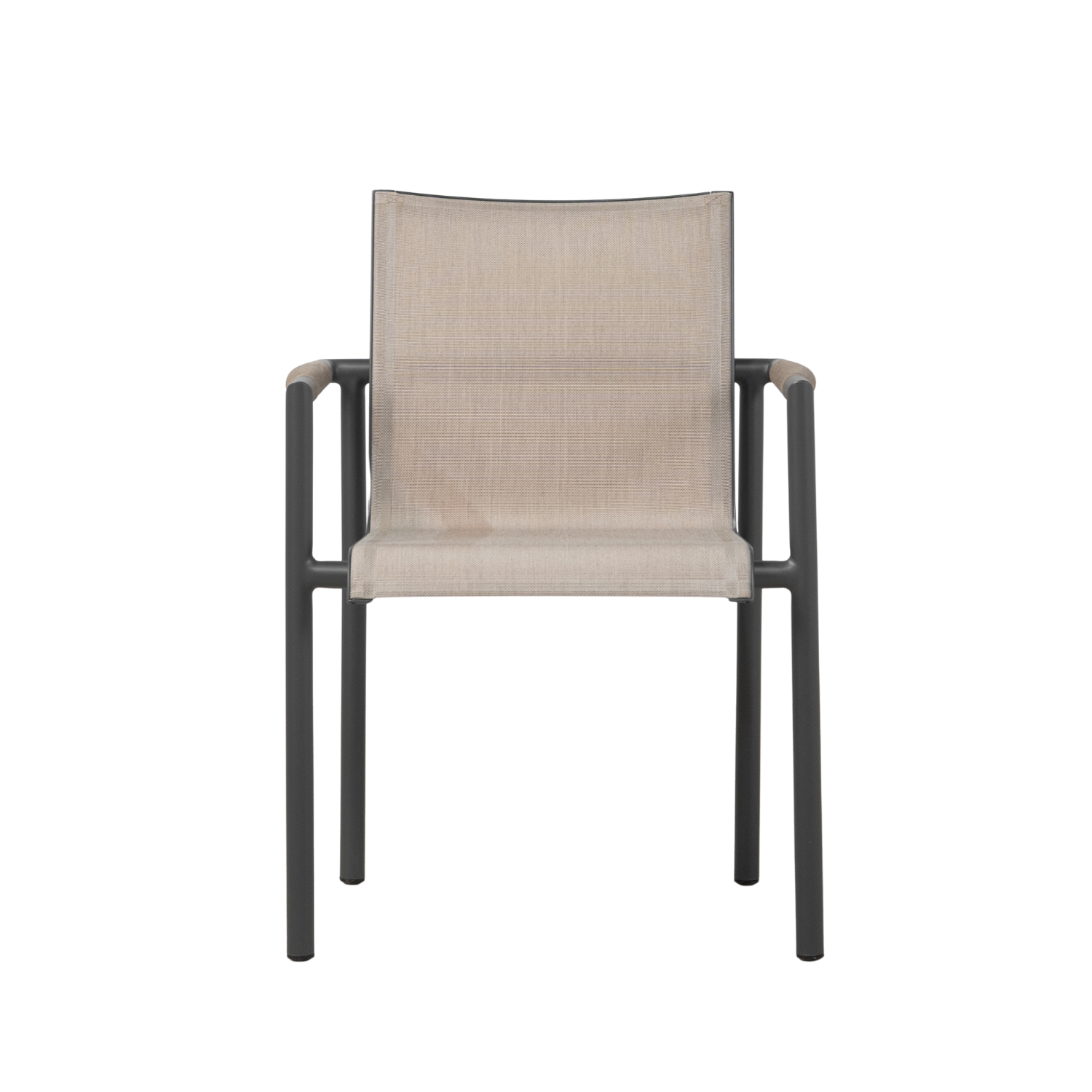 Oxford Dining Arm Chair - Barley Beige