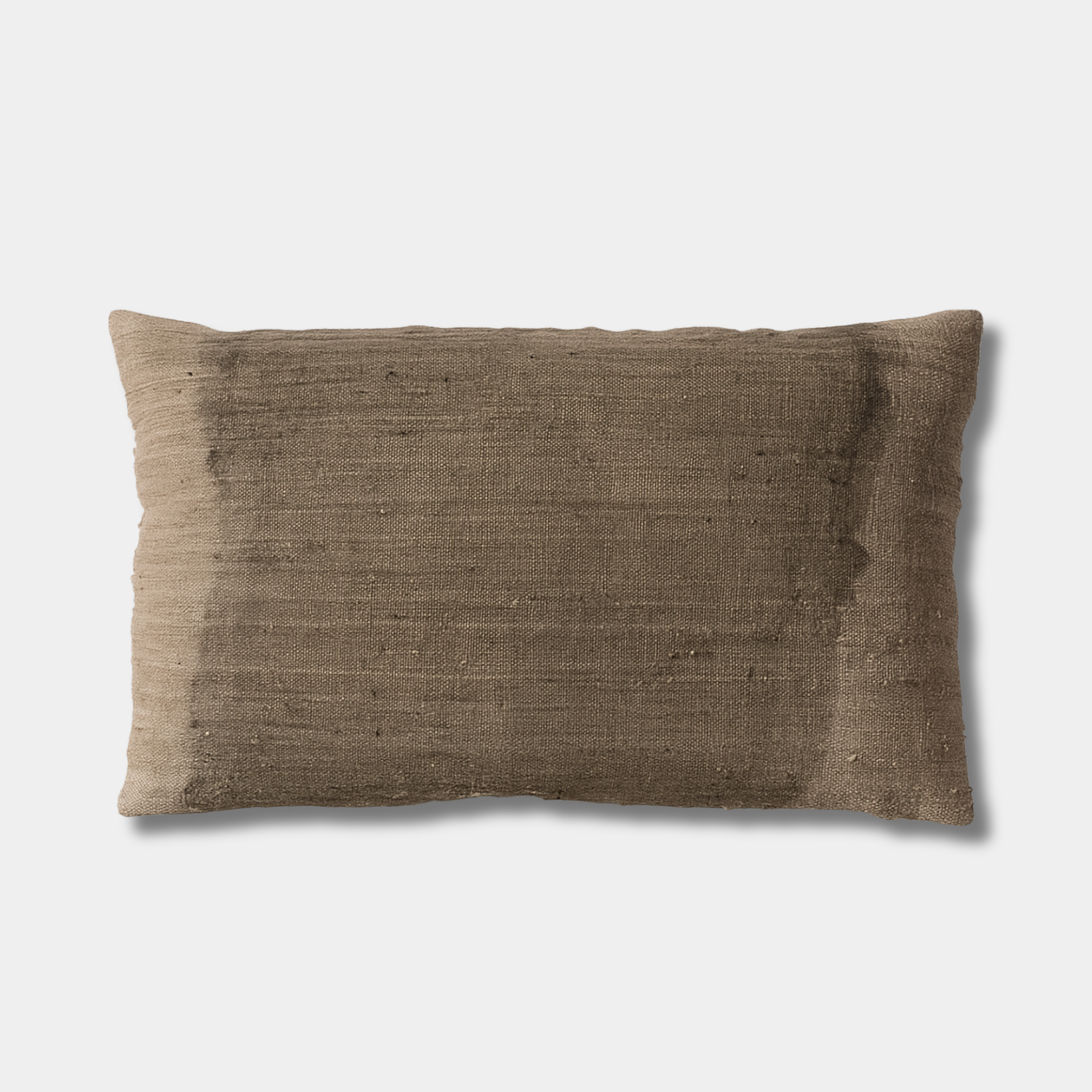 Ombre Elora Kidney Toss Pillow