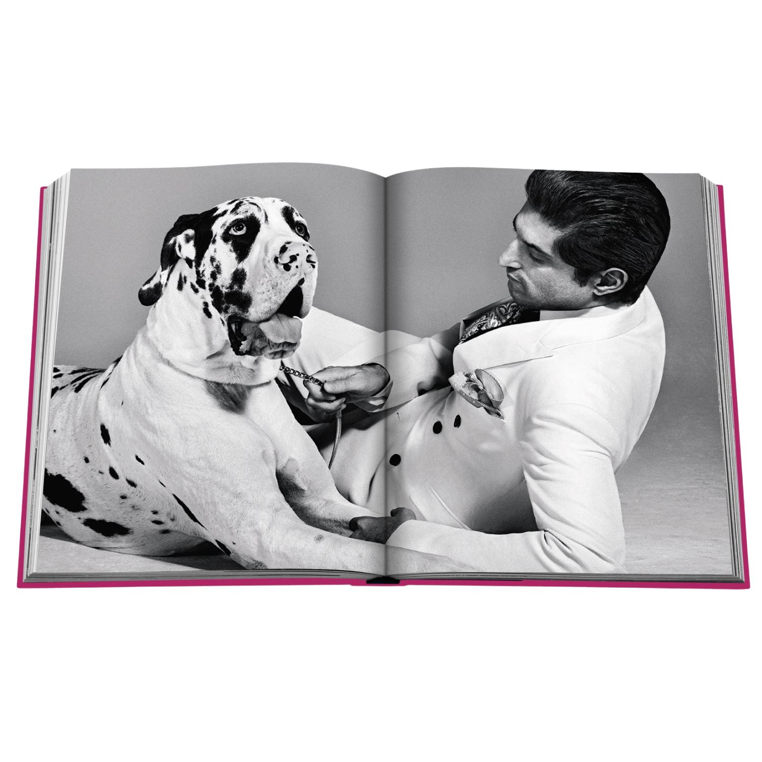 Assouline: Chic Dogs Hard Cover Book